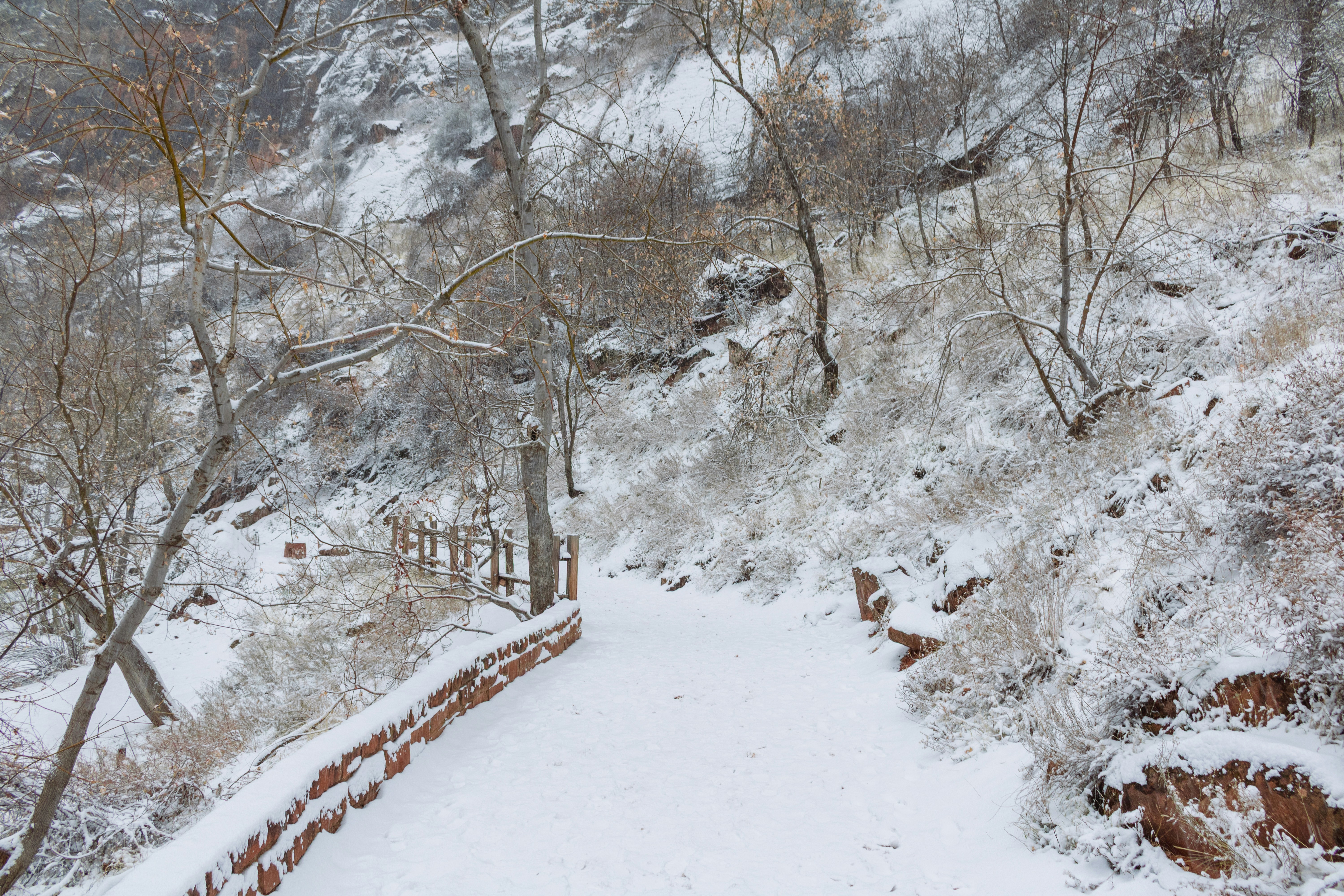 Photo by zoshuacolah