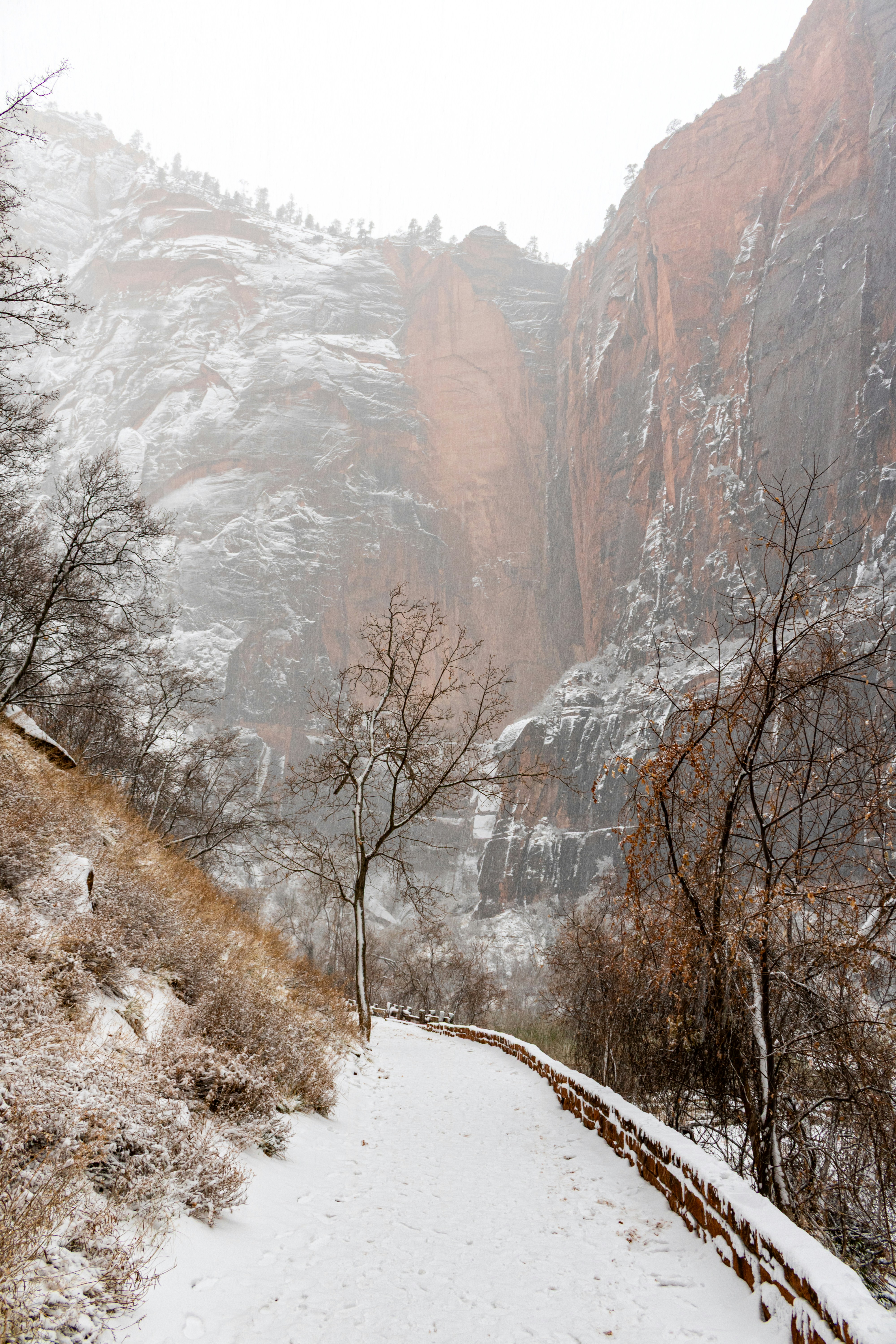 Photo by zoshuacolah