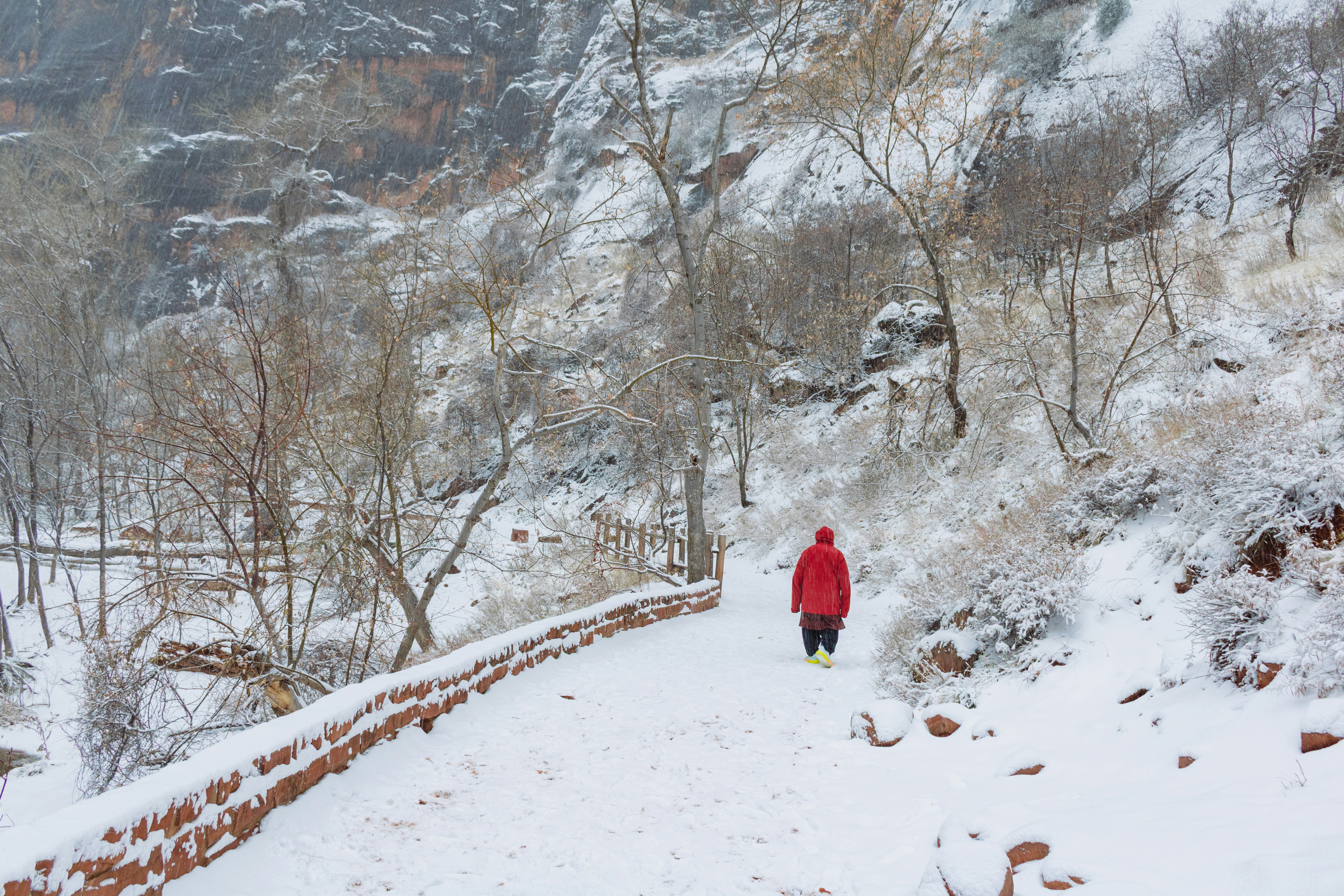 Photo by zoshuacolah