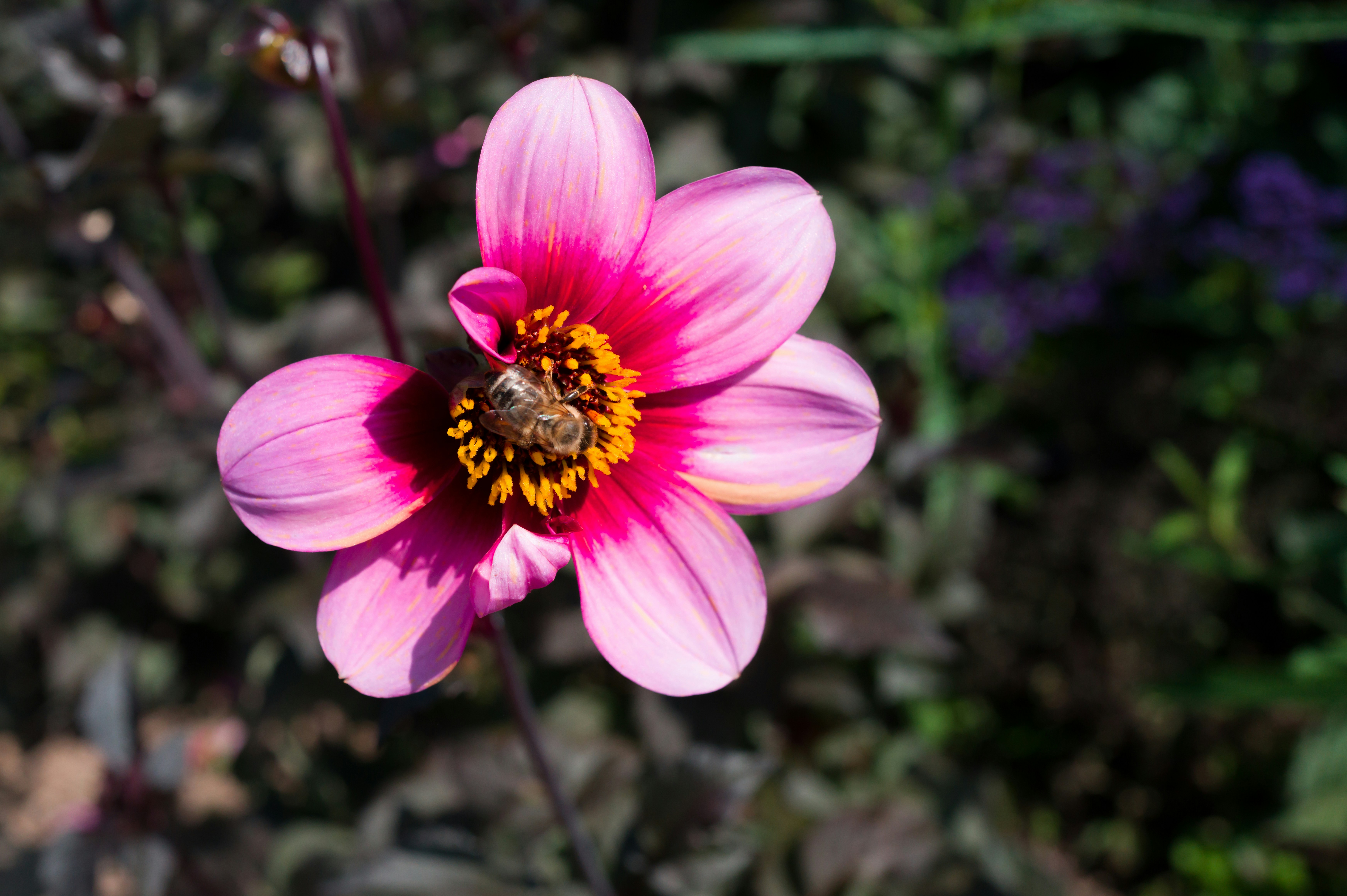 Photo by georgeiermann