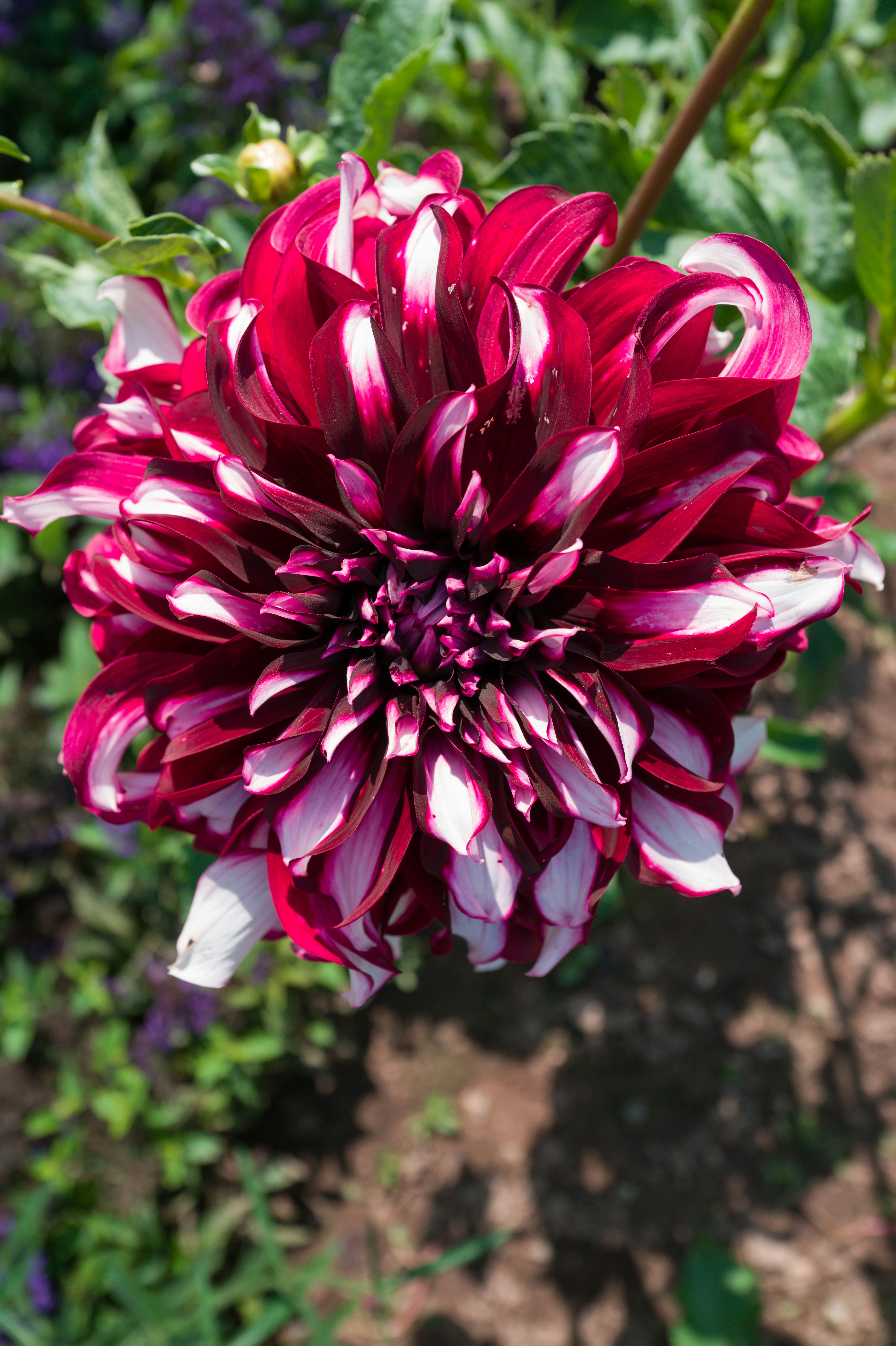 Photo by georgeiermann