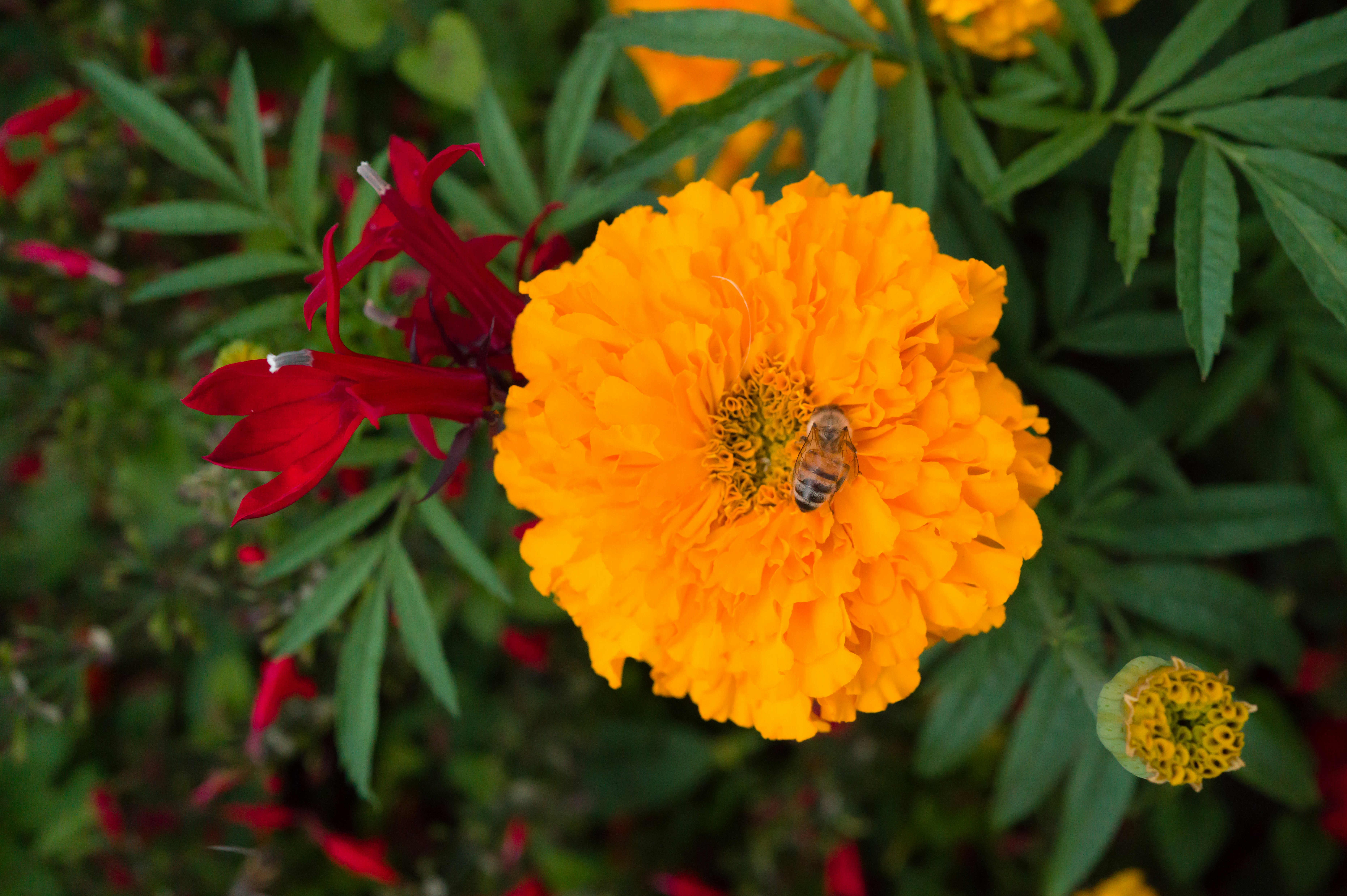 Photo by georgeiermann