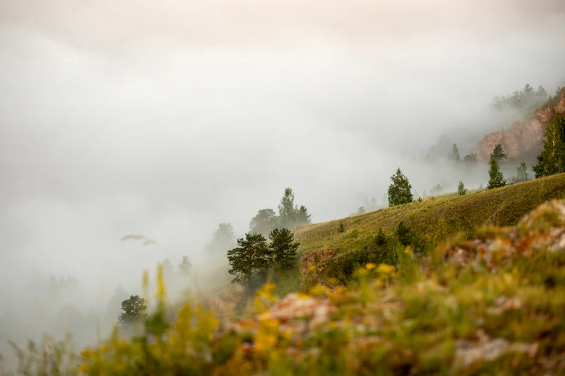 Mont Cameroun