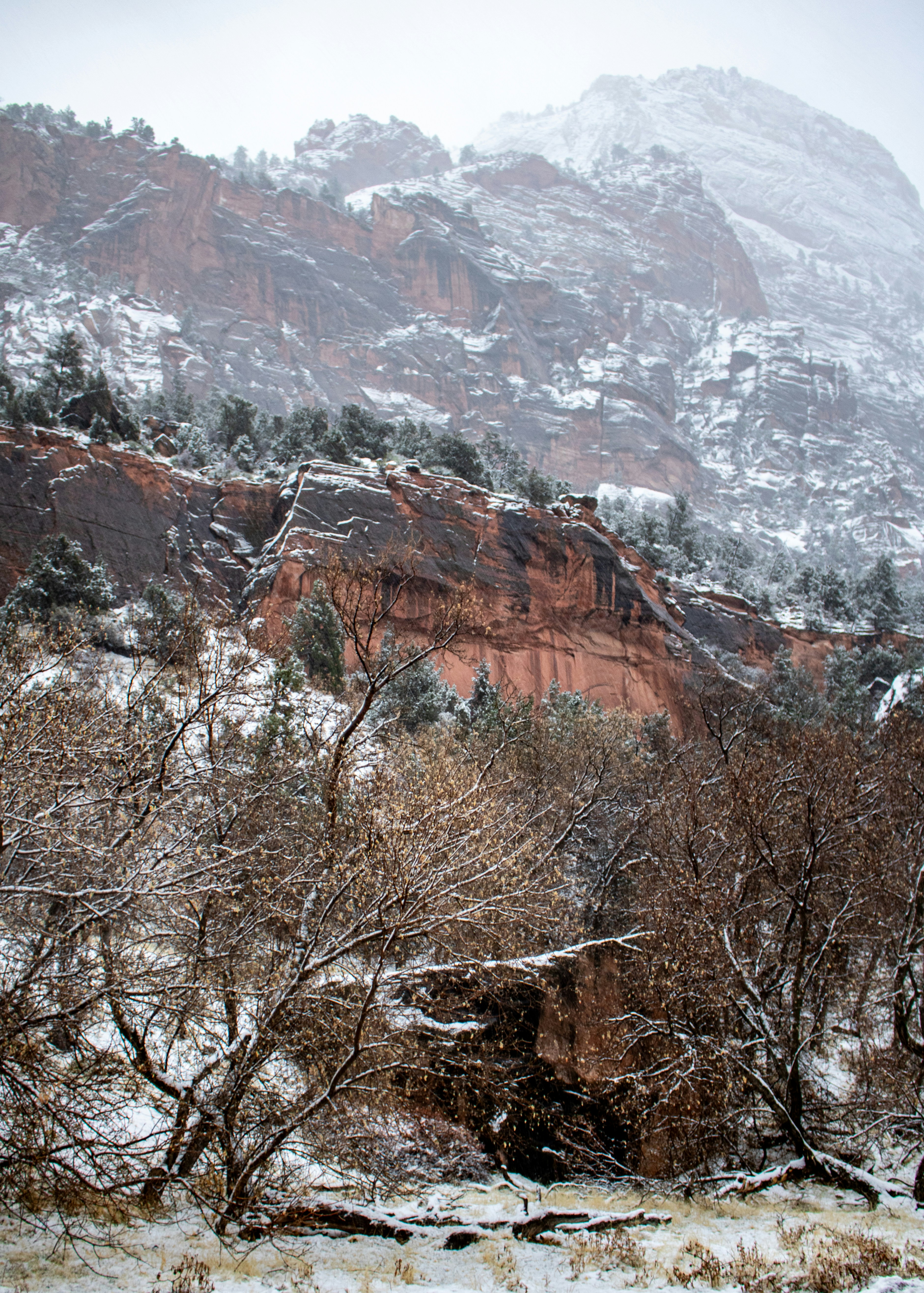 Photo by zoshuacolah