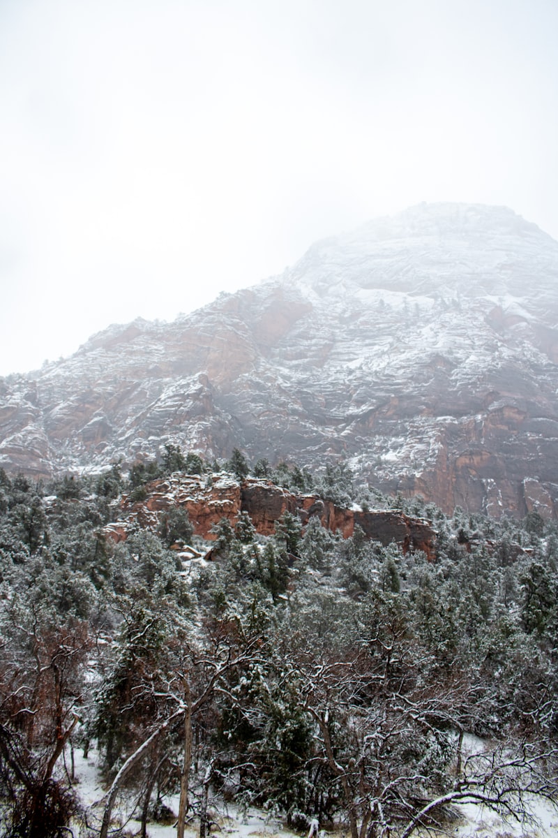 Zion