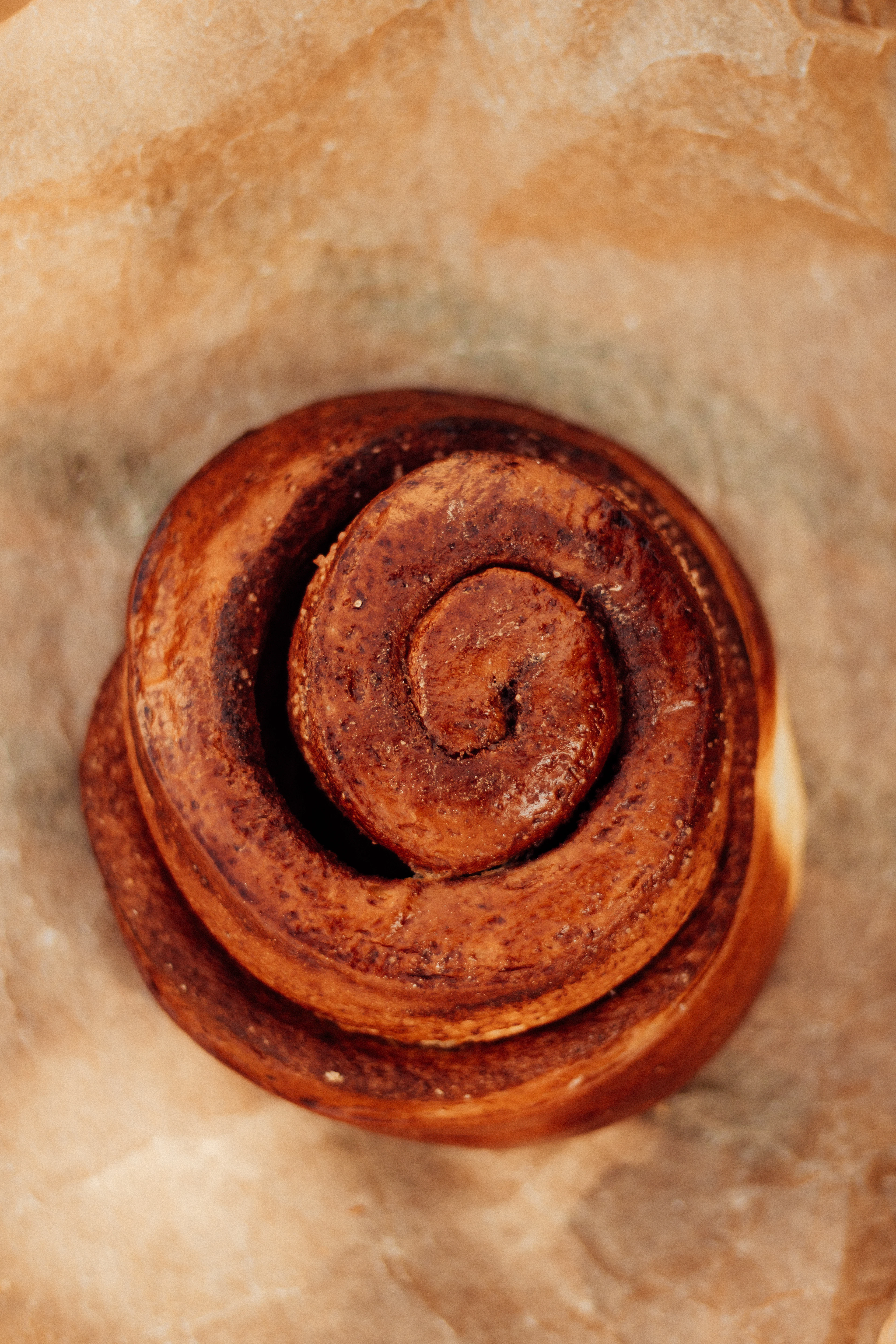 Swirled cardamom bun on parchment