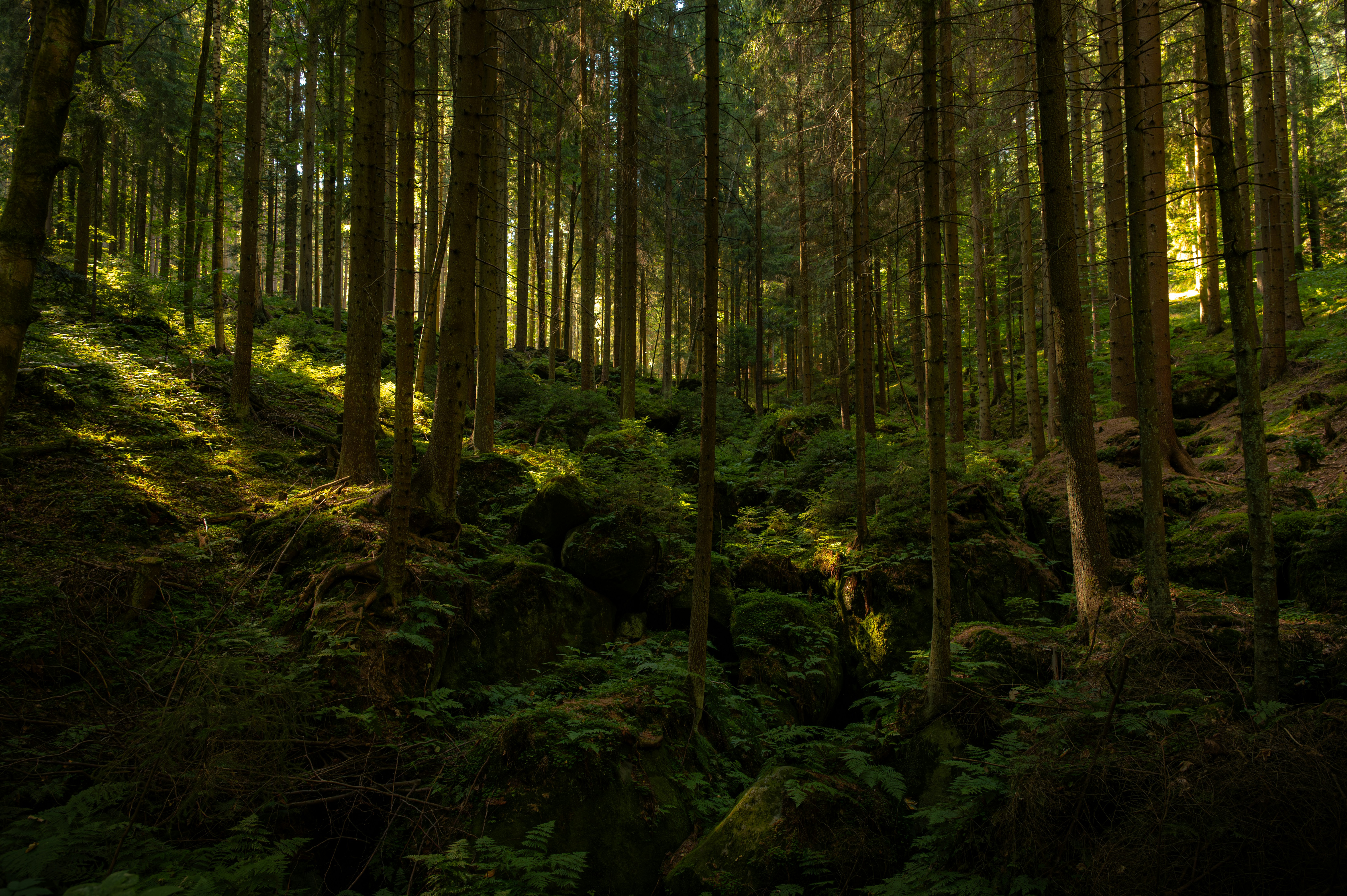 Photo by alexandra_p_d