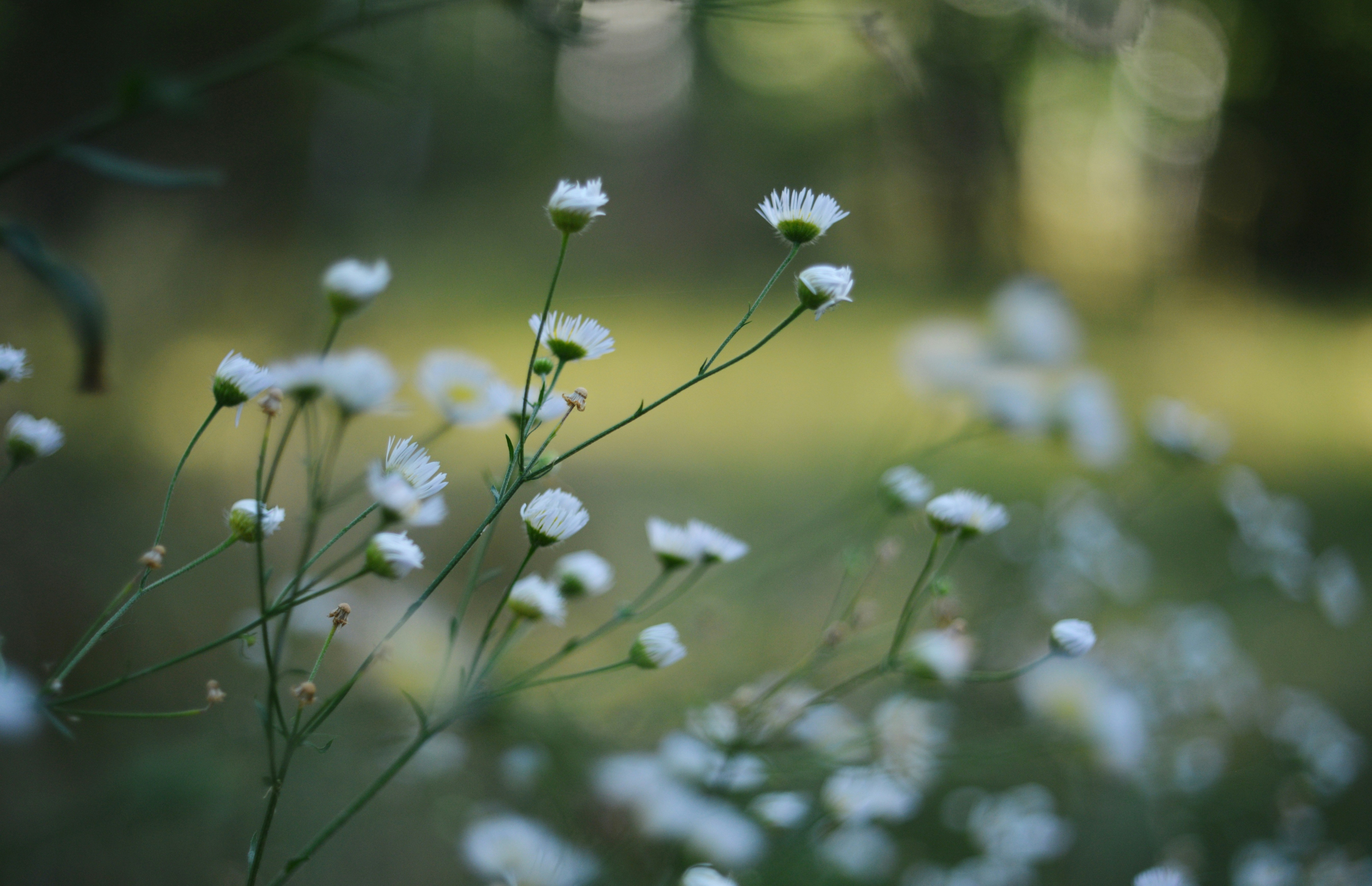 Photo by cherstve_pechivo