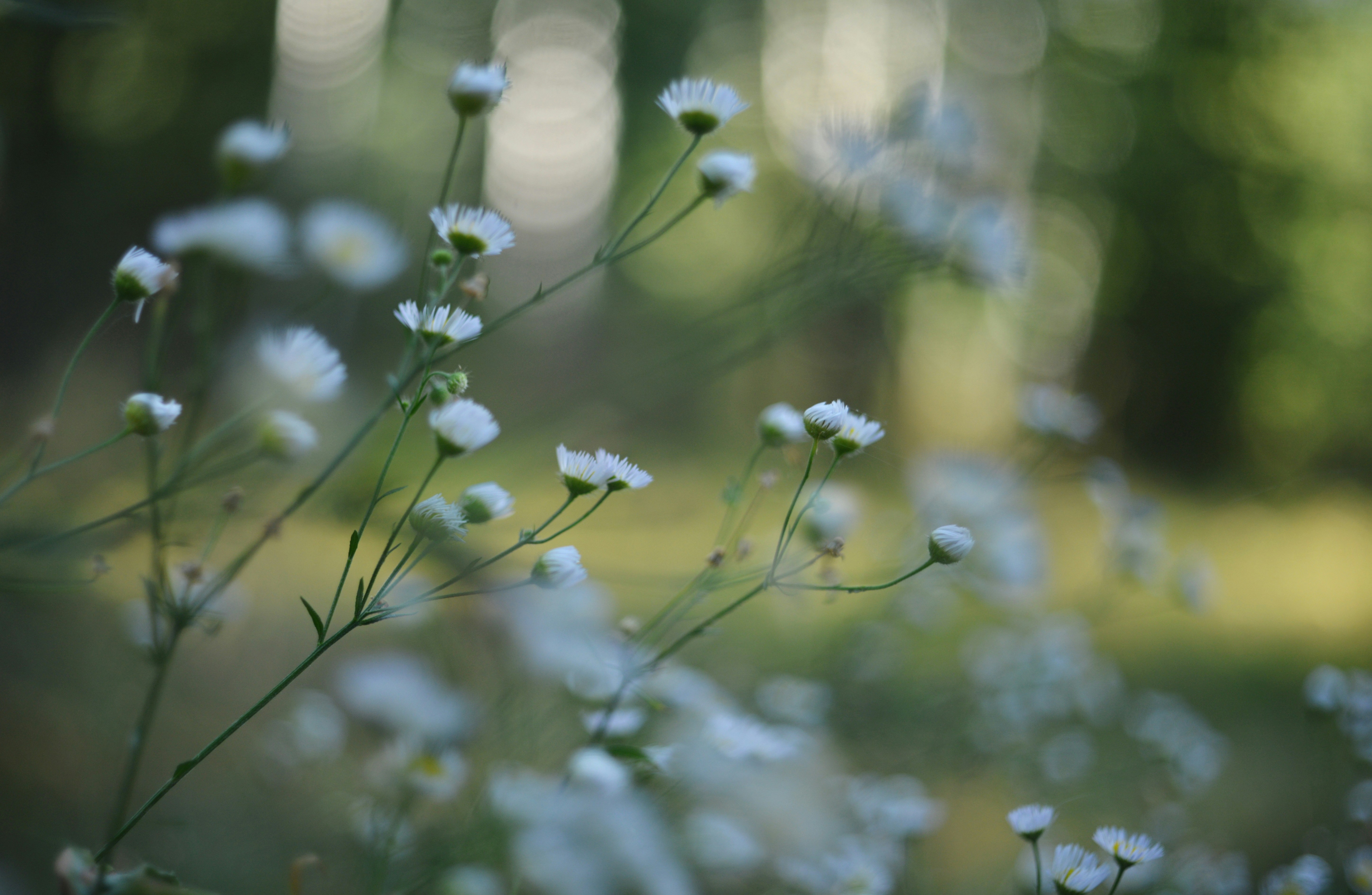 Photo by cherstve_pechivo