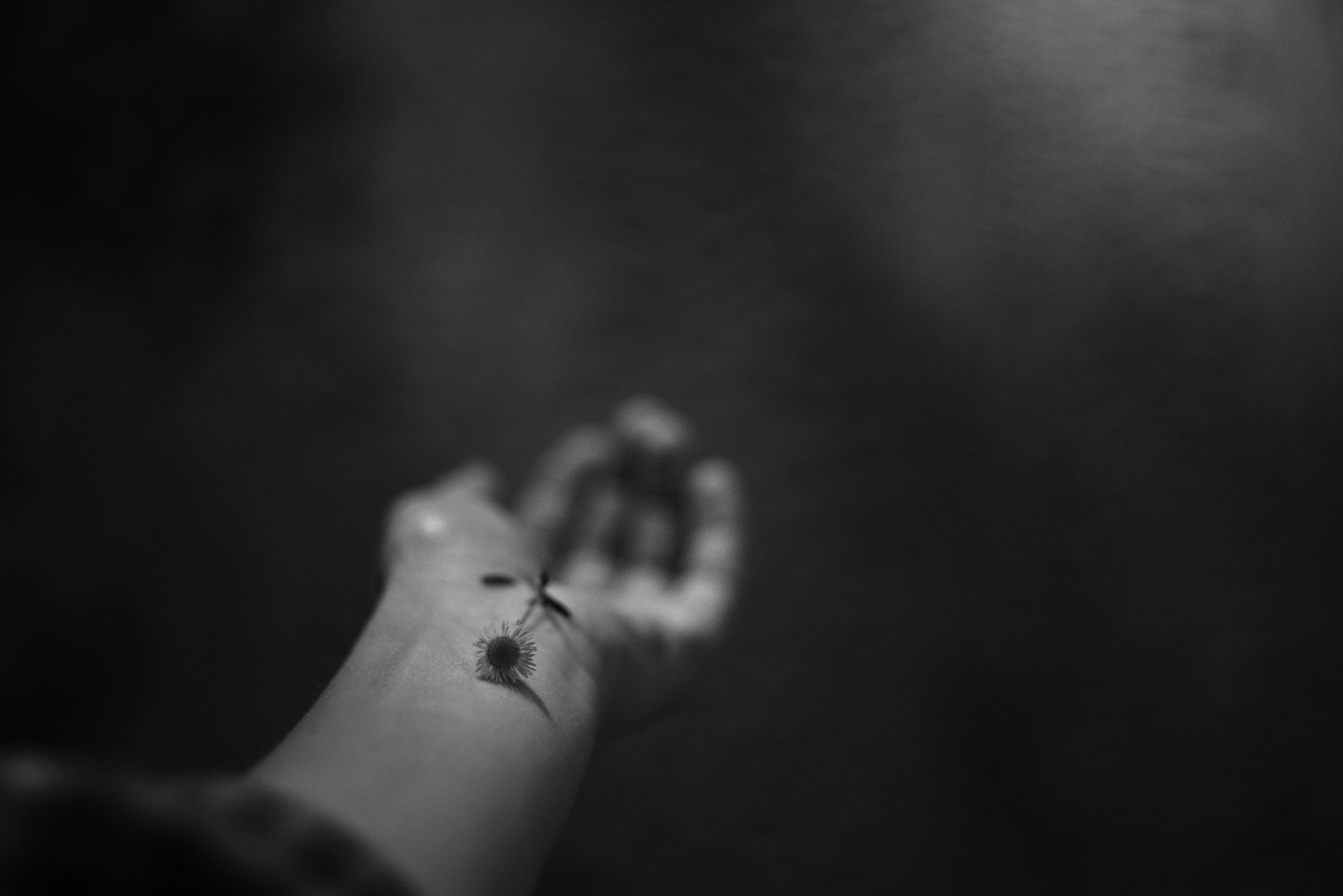 Photo by cherstve_pechivo