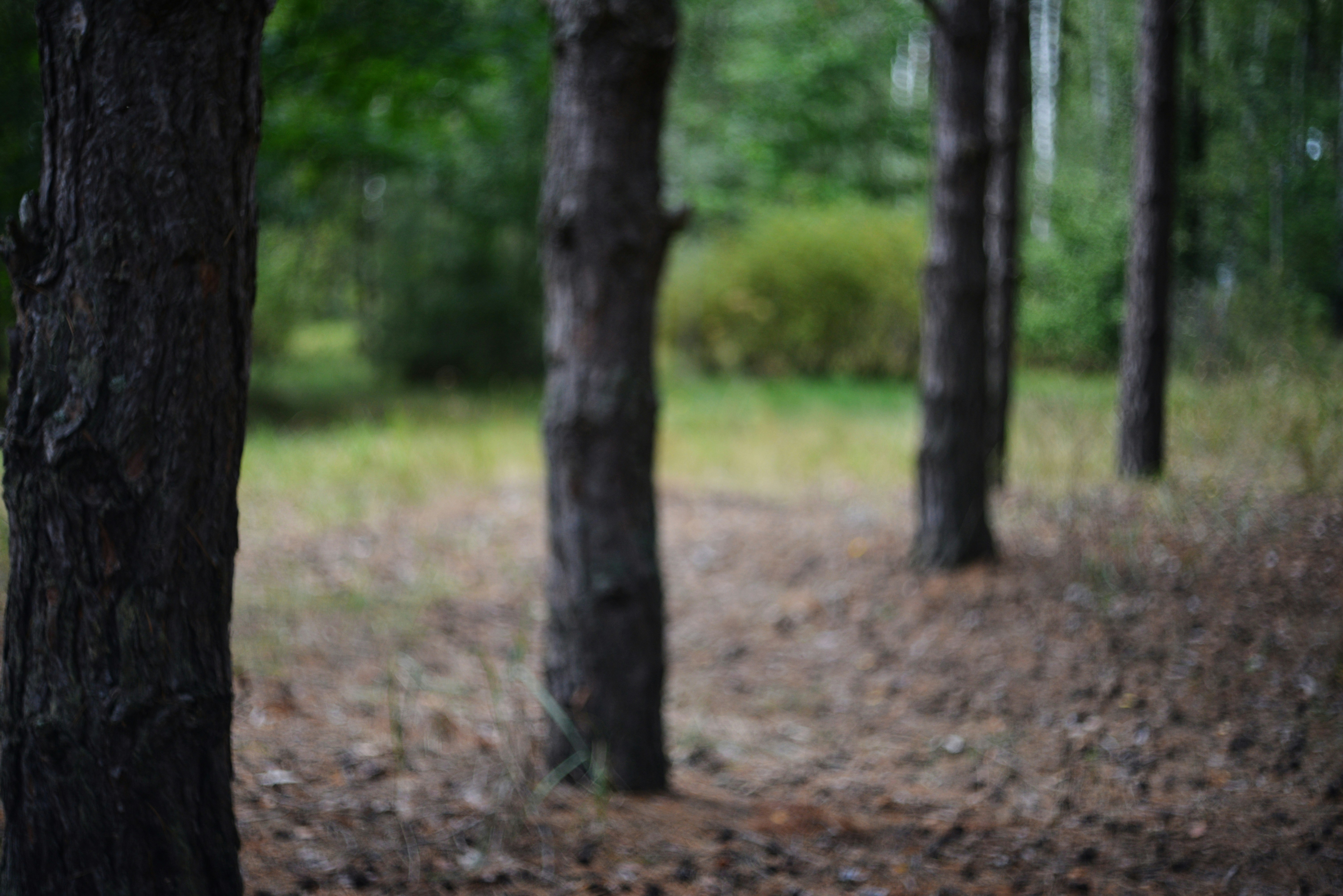 Photo by cherstve_pechivo