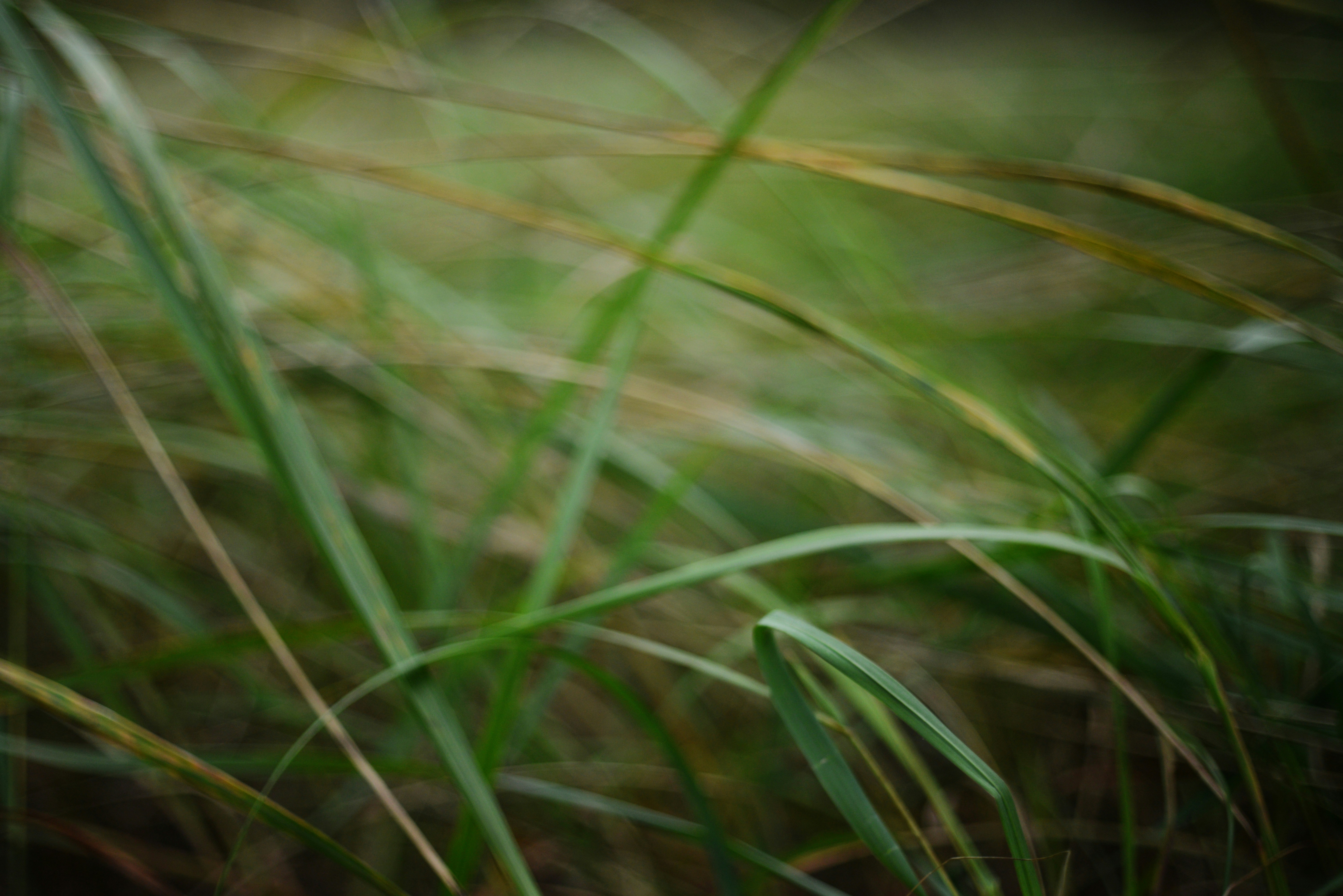 Photo by cherstve_pechivo