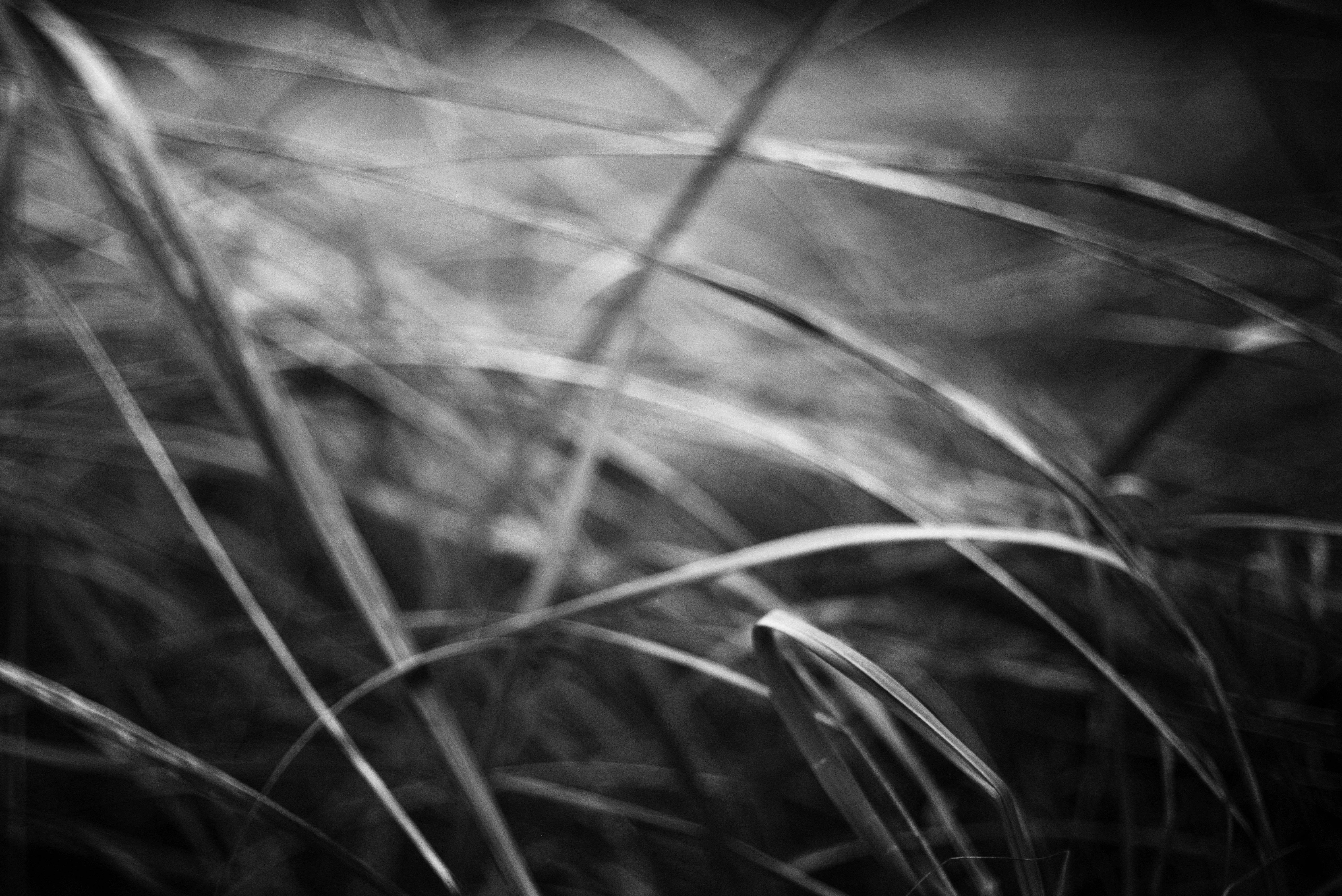 Photo by cherstve_pechivo