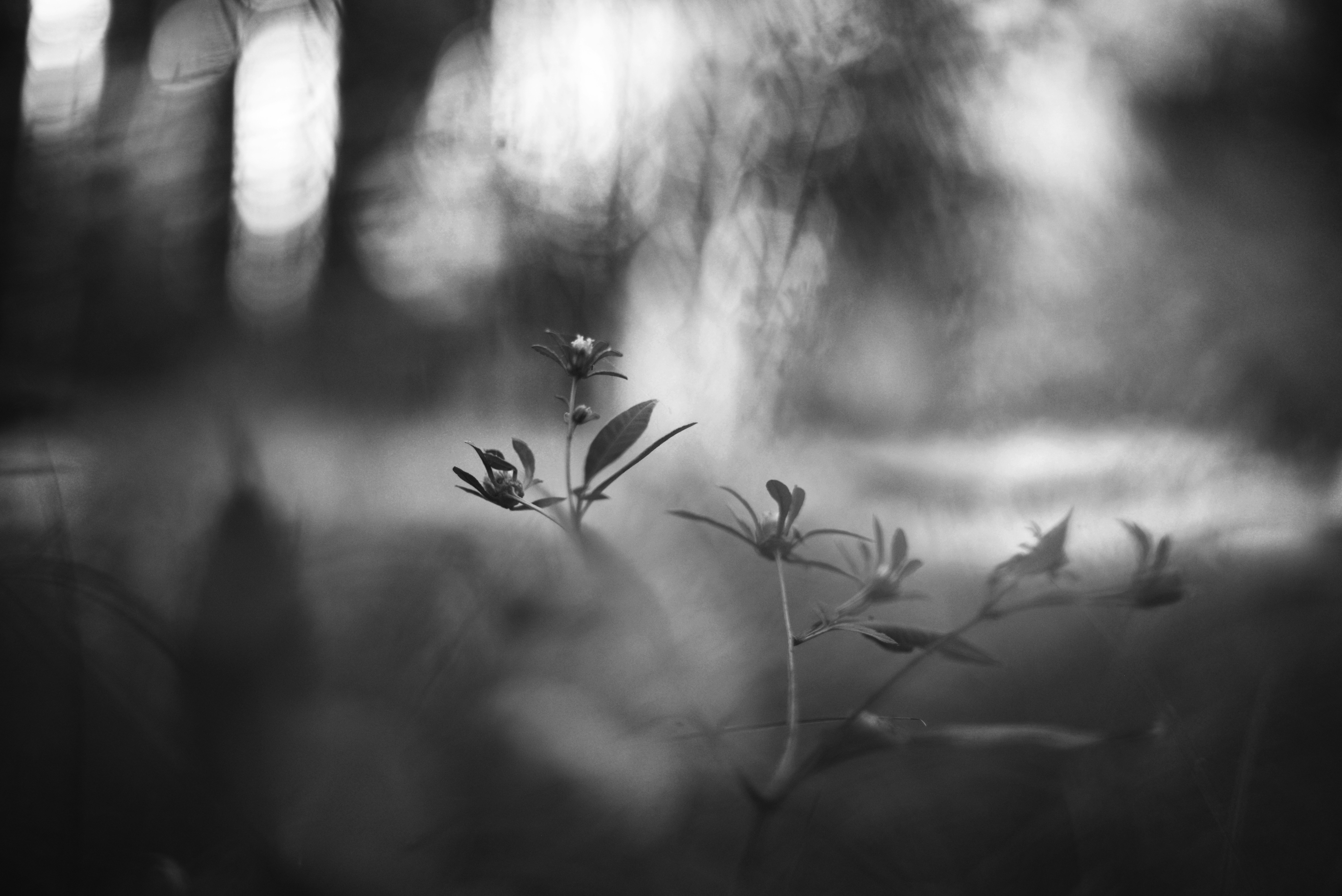 Photo by cherstve_pechivo