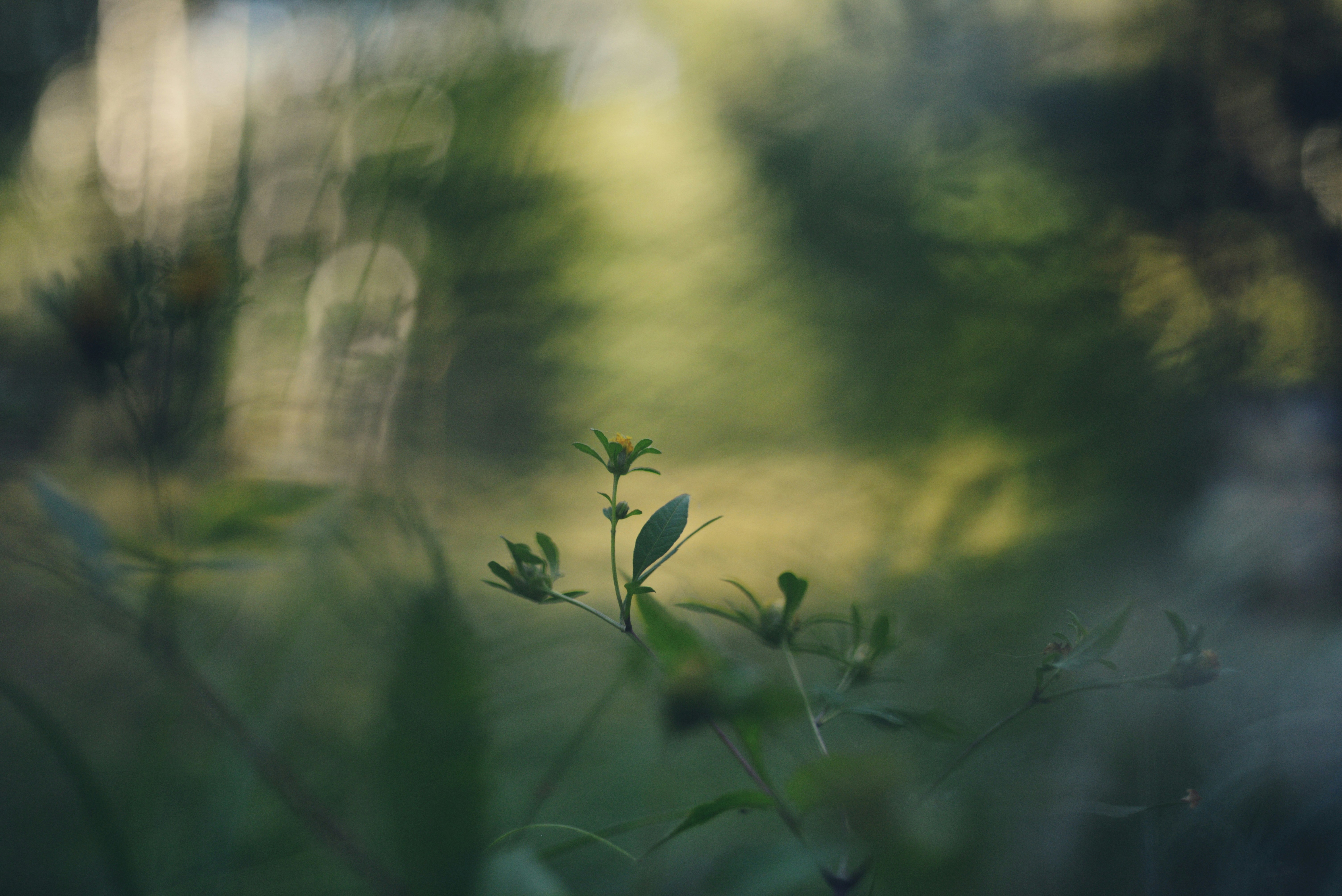 Photo by cherstve_pechivo