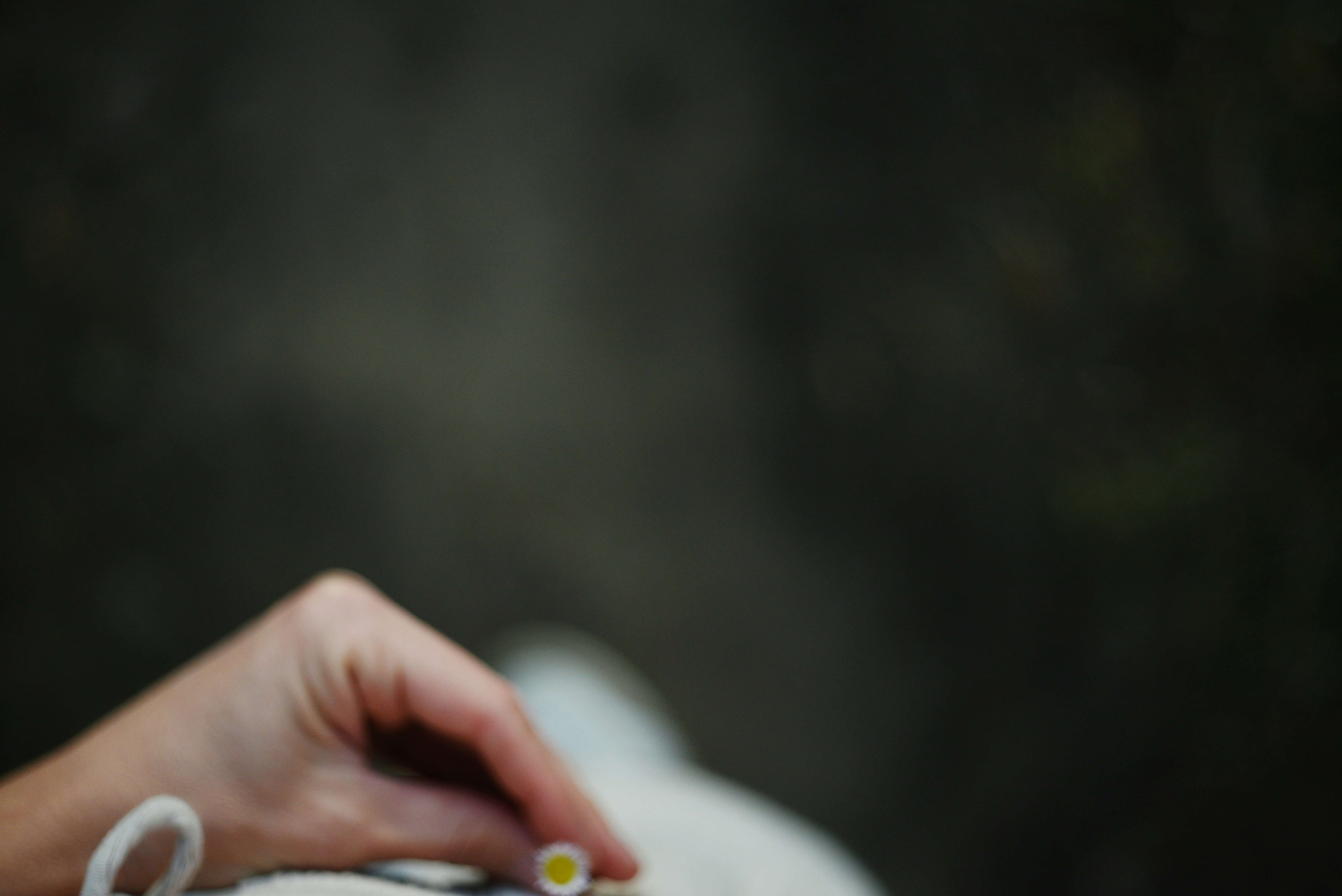 Photo by cherstve_pechivo