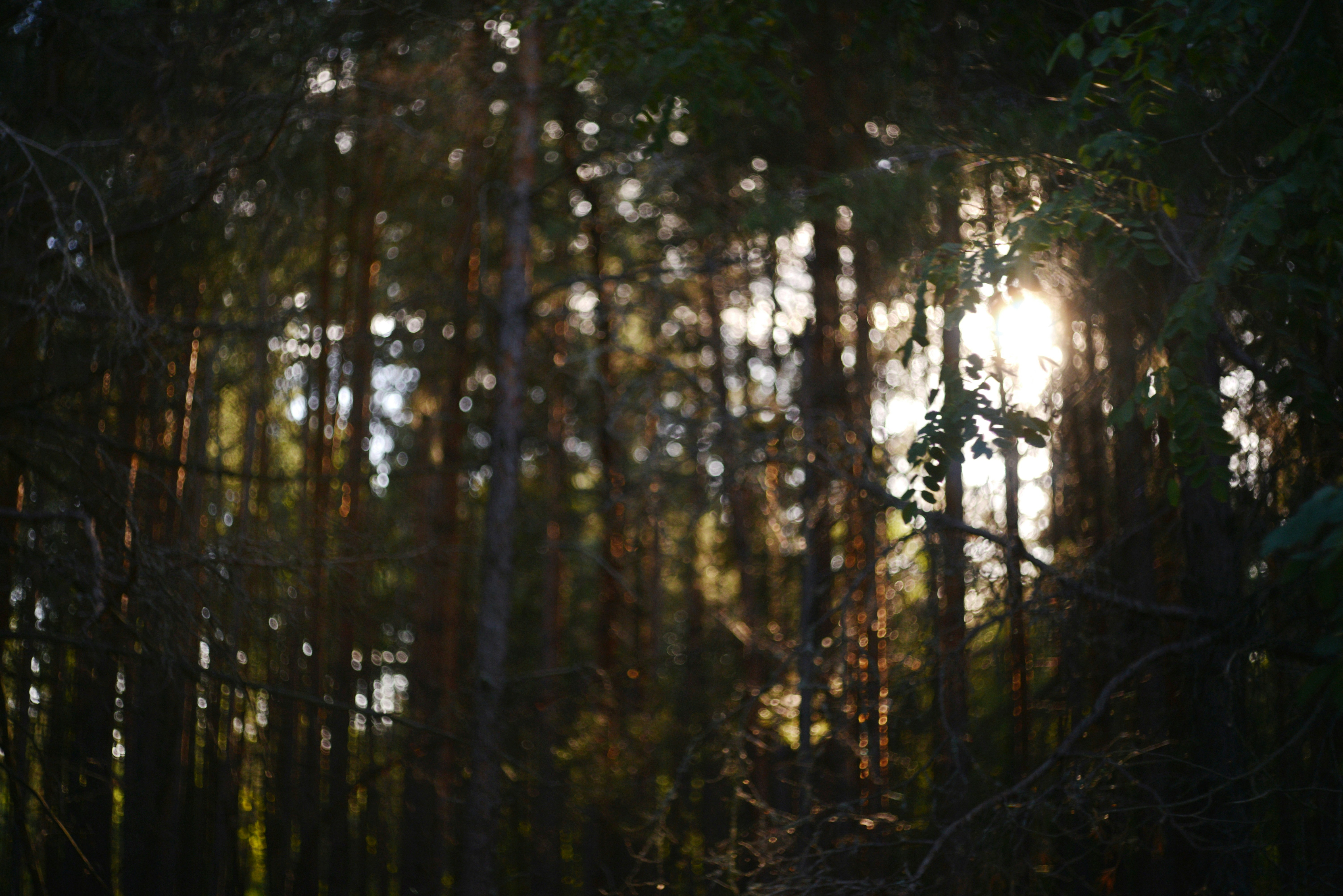 Photo by cherstve_pechivo