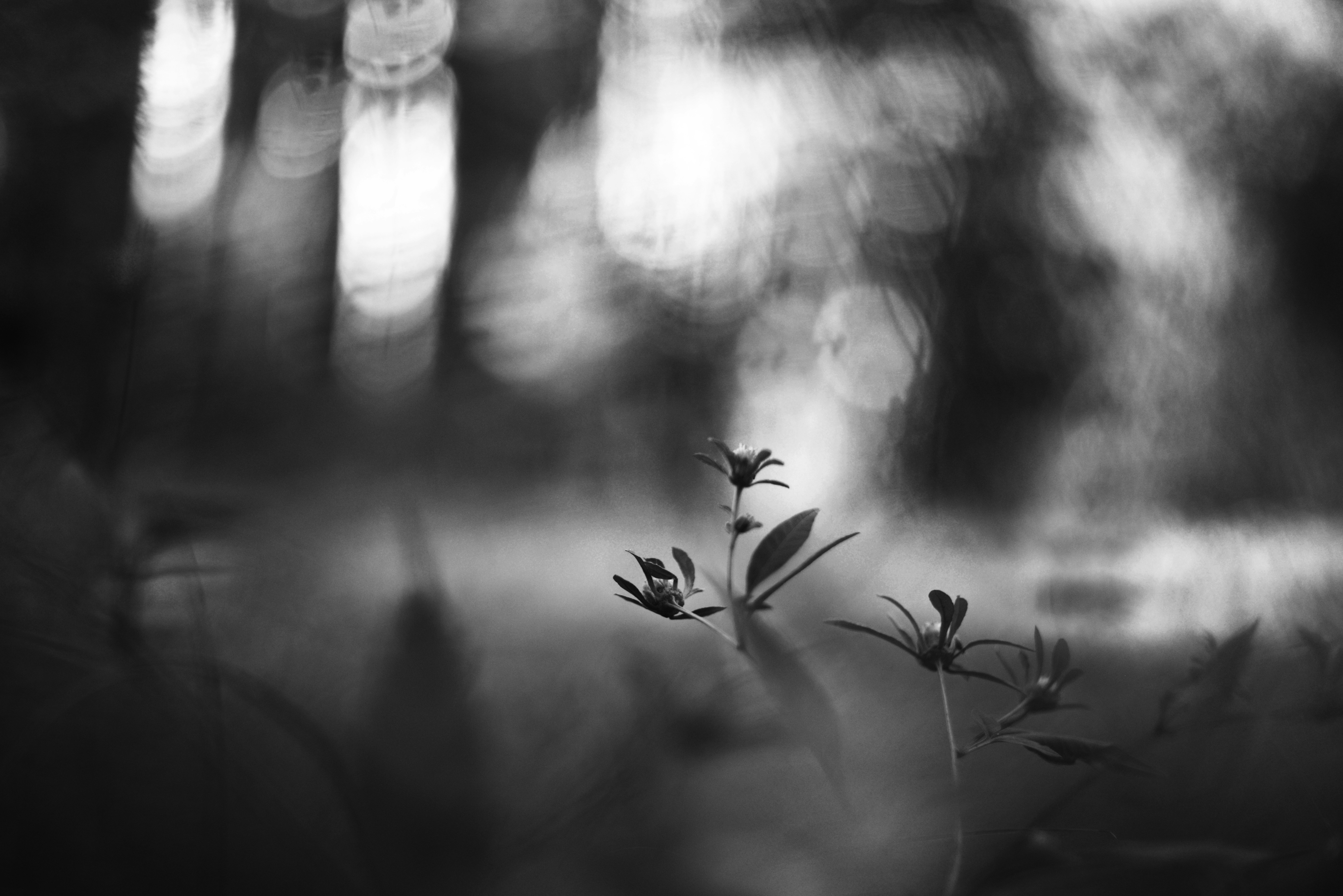 Photo by cherstve_pechivo