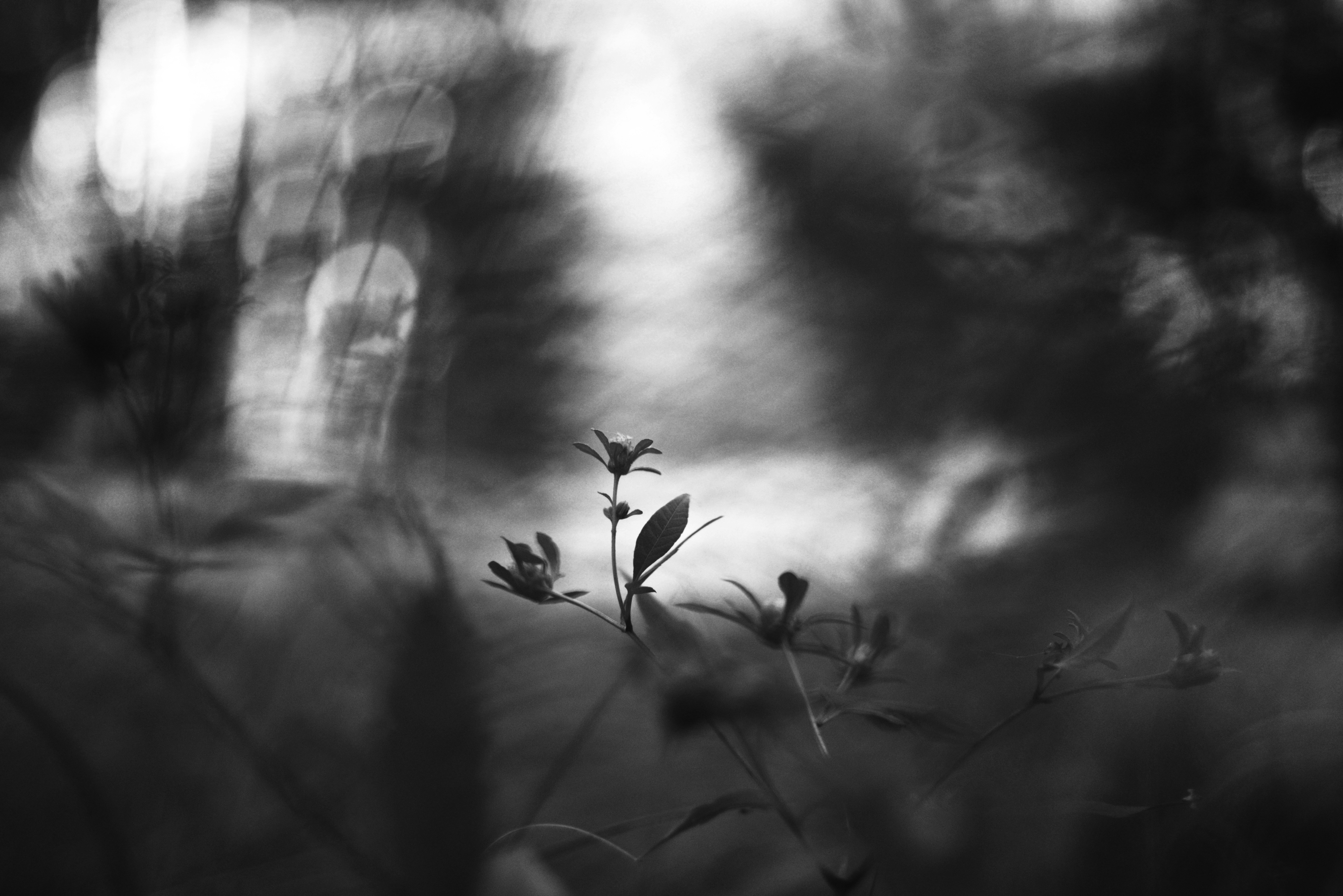 Photo by cherstve_pechivo