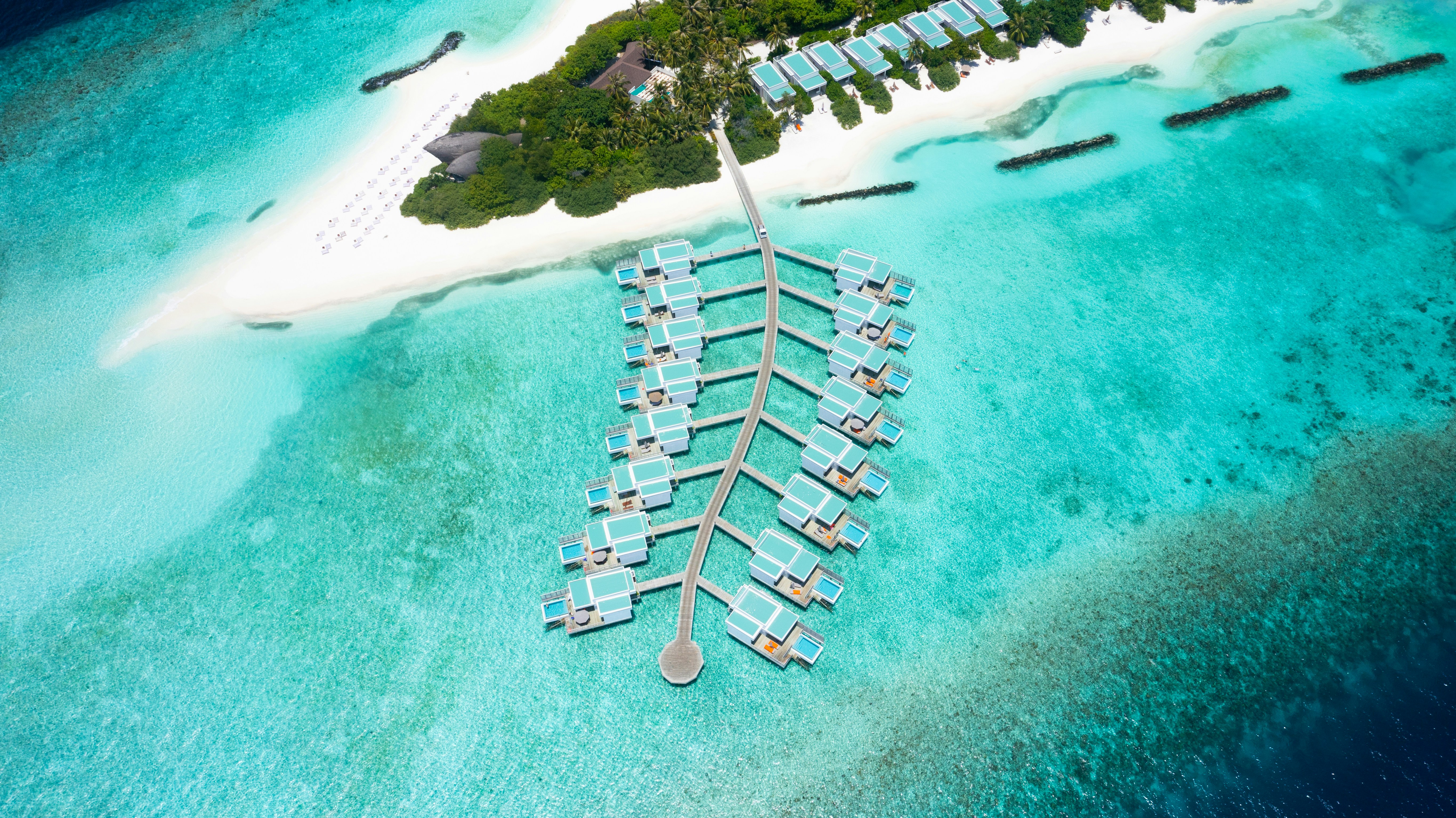 Photo by maxzaharenkov2