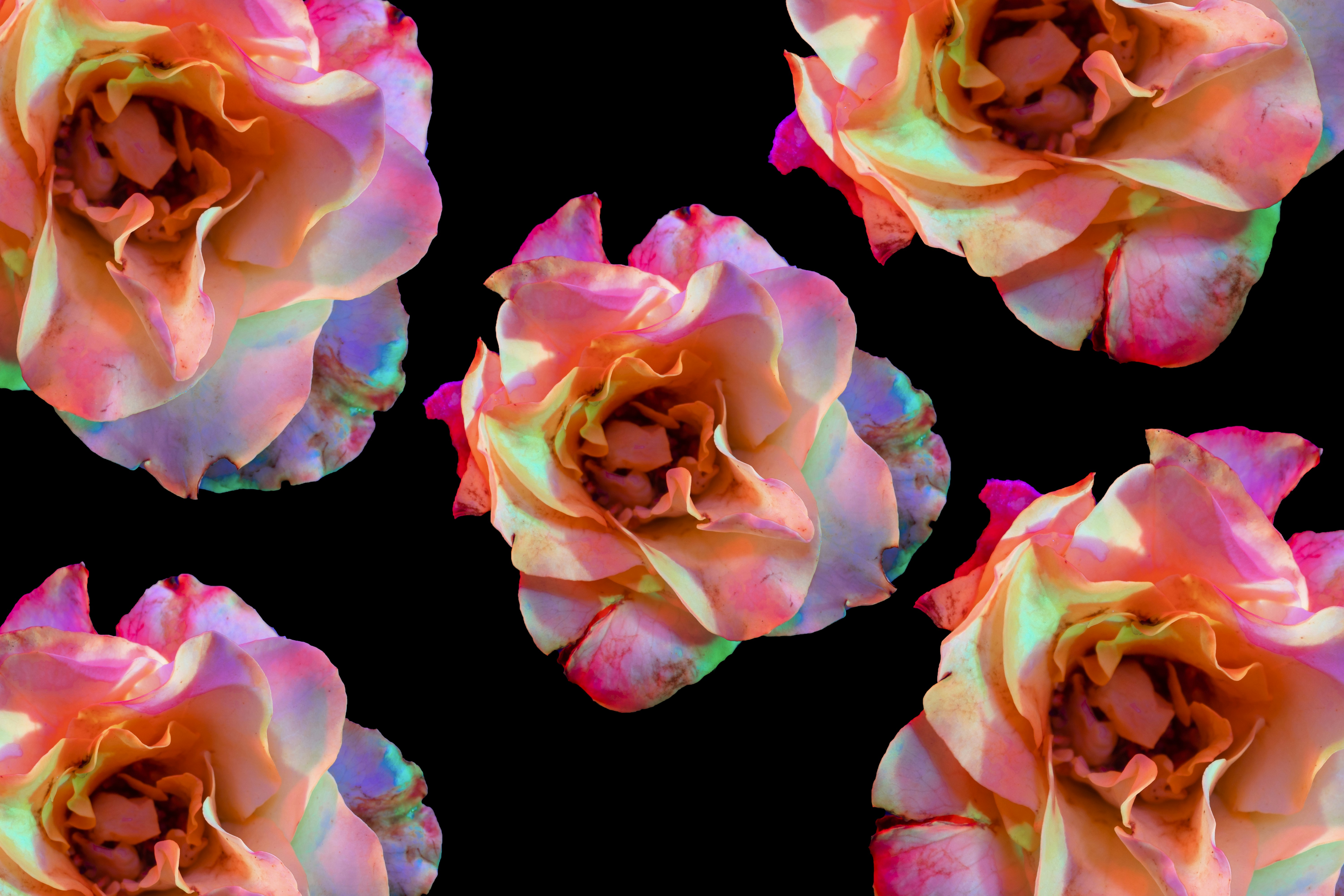 Photo by harshitphotography