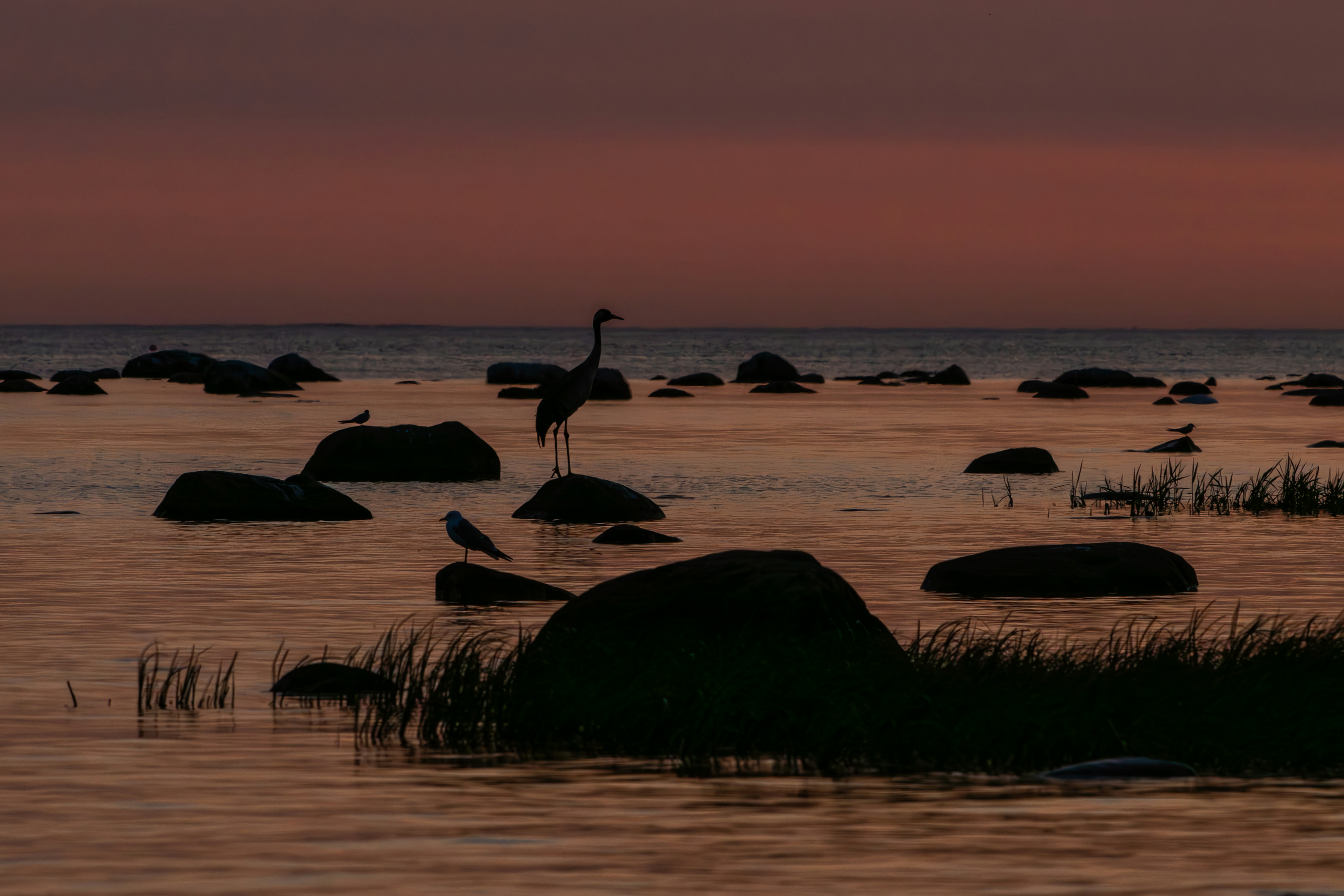 Photo by andruslukas