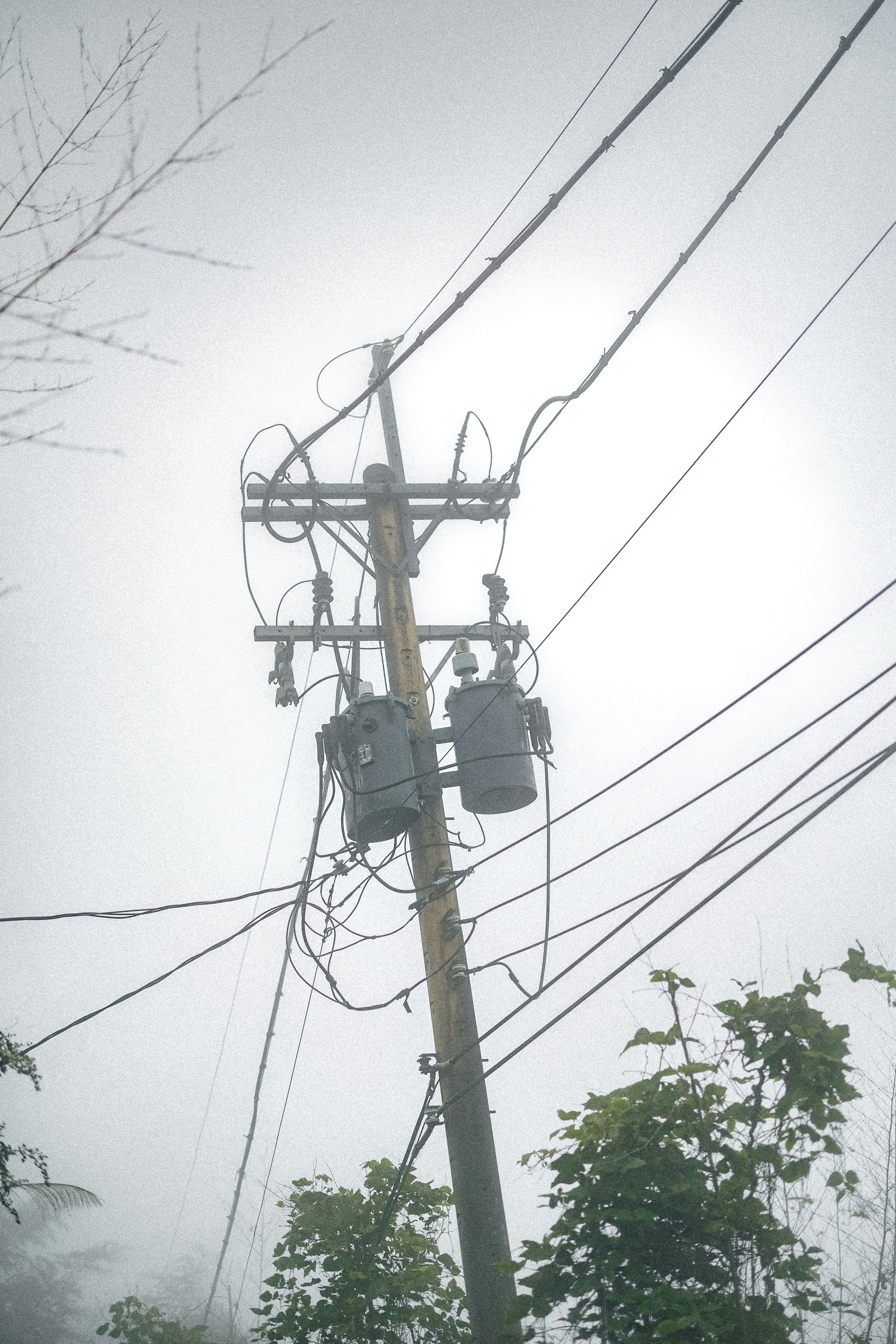 Photo by marekpiwnicki