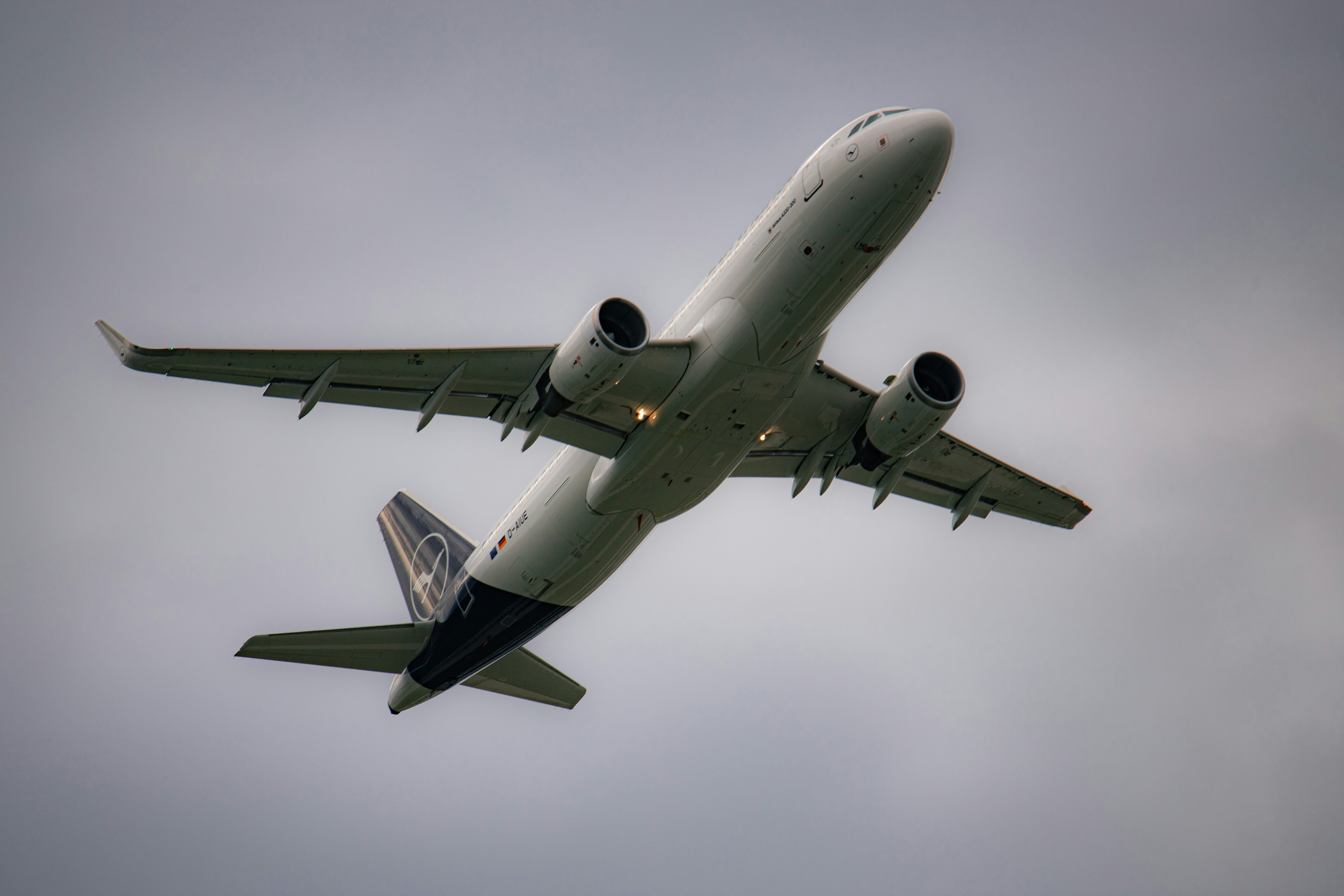 Photo by shutter_speed_