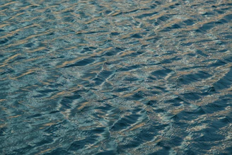 Rippling blue water surface with sunlight reflections