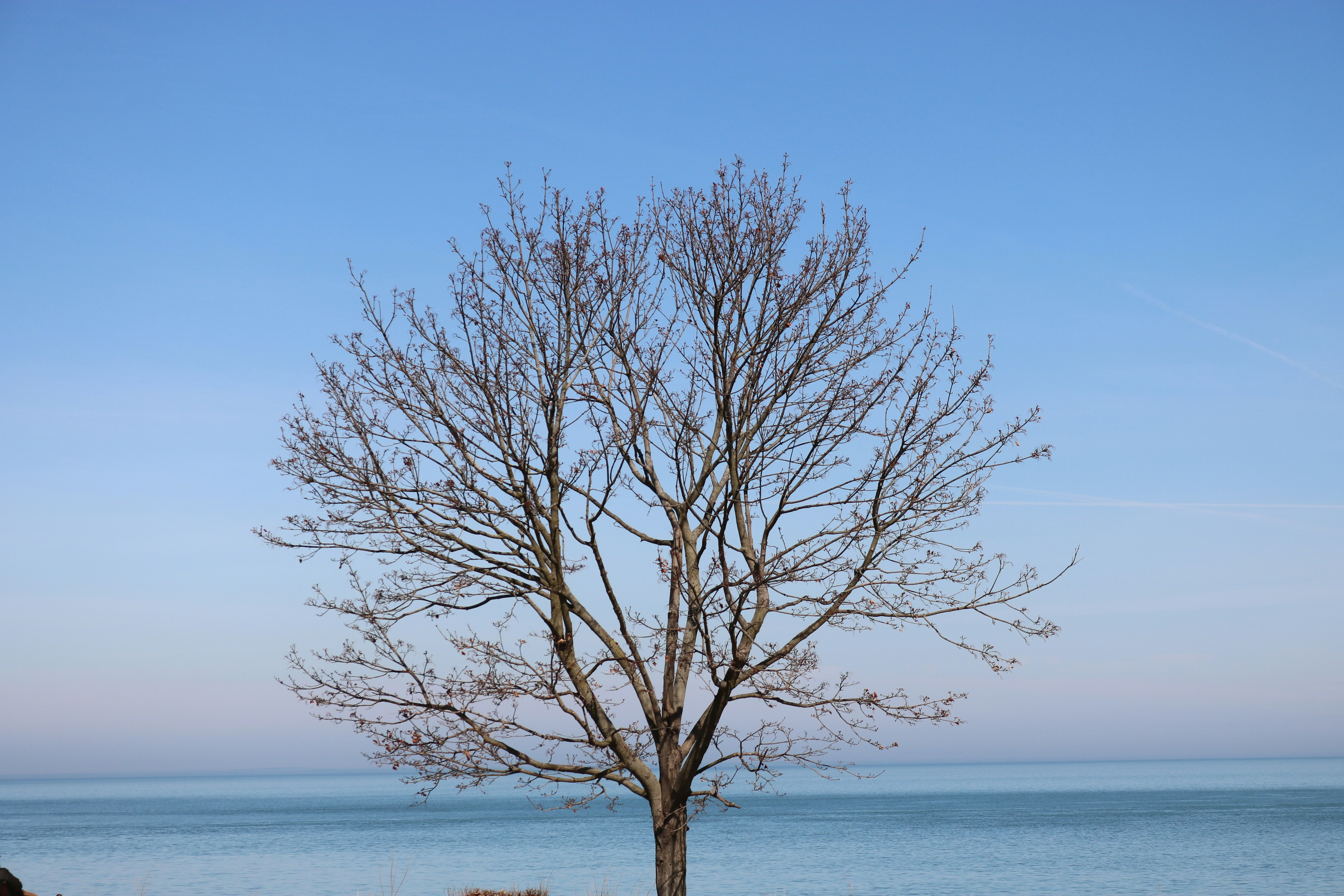 Photo by avesta1
