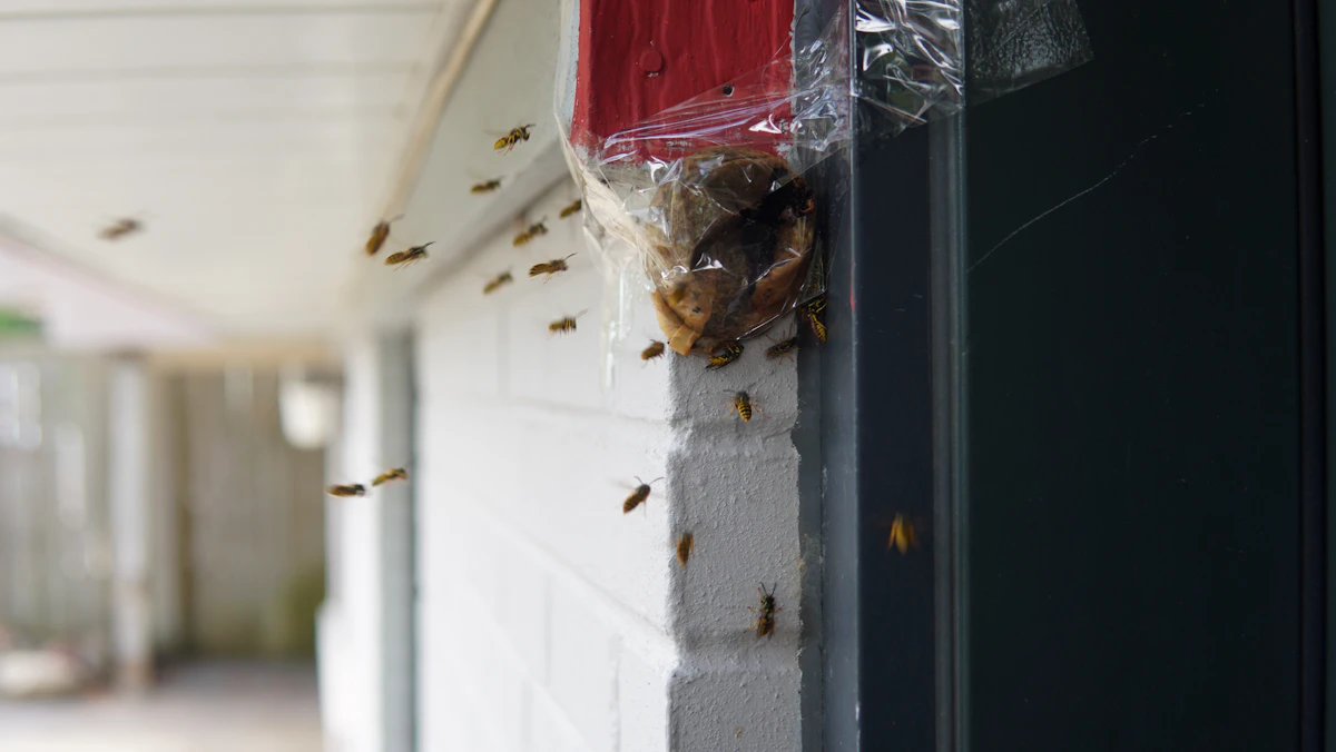 5 Best Helpdesk Tools for Pest Control Teams in 2026