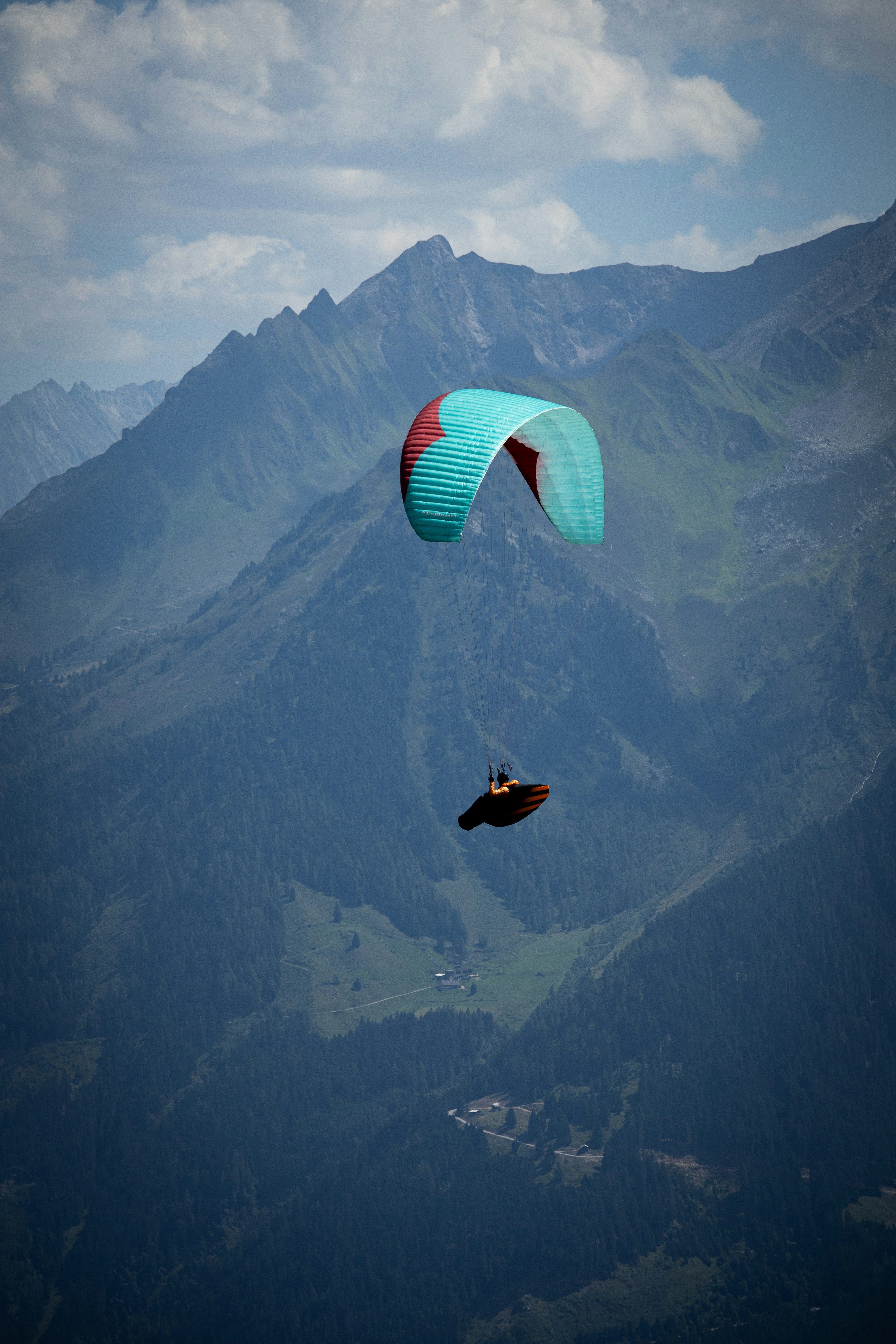 Paraglider soaring over majestic, forested mountains.