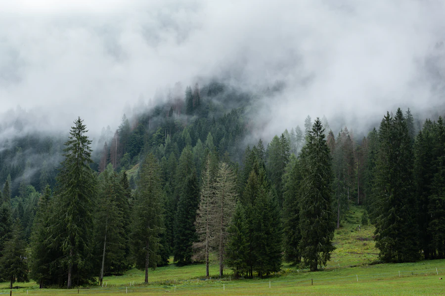 Ski de randonnée