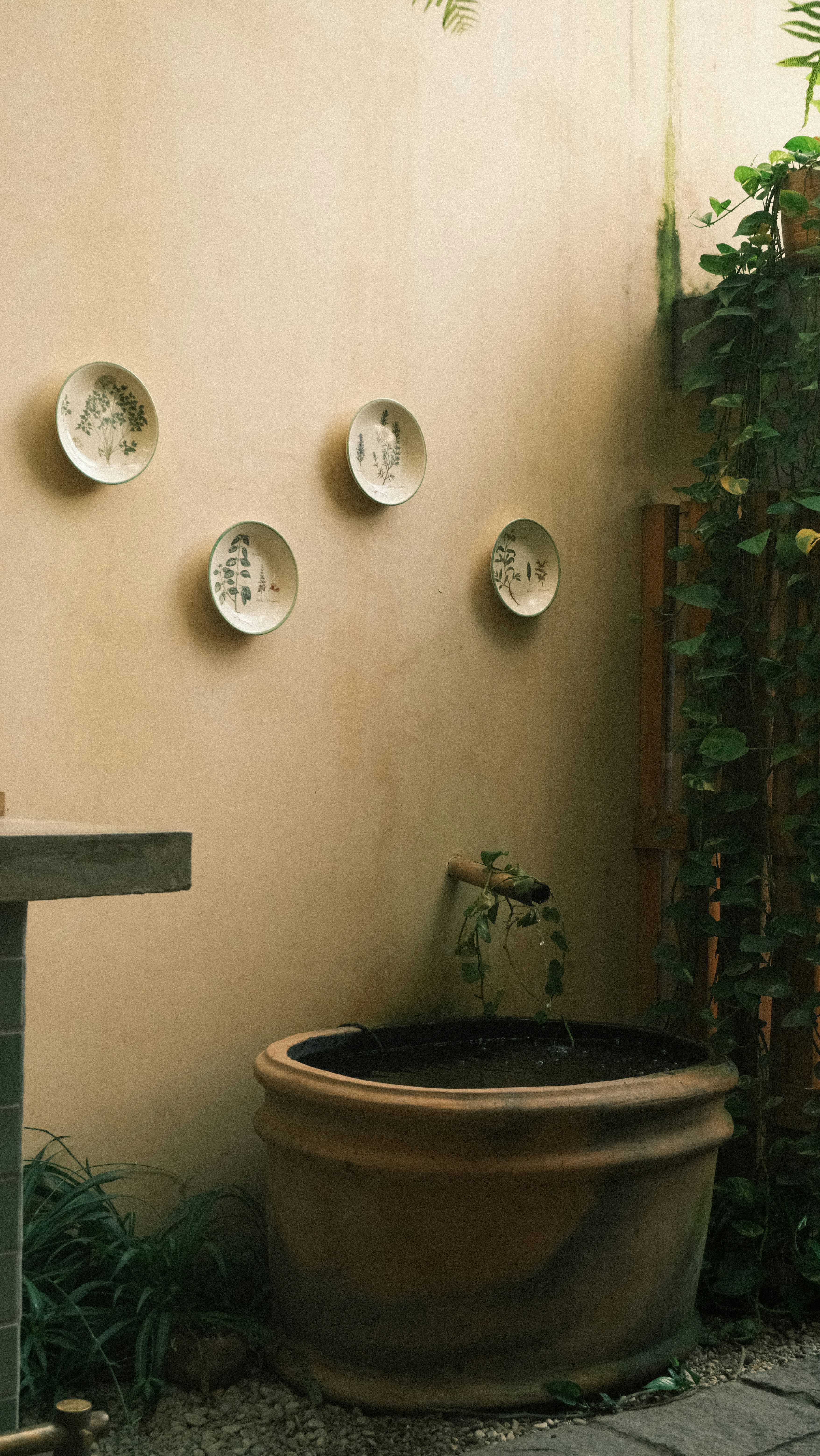 Photo by juniorphoto