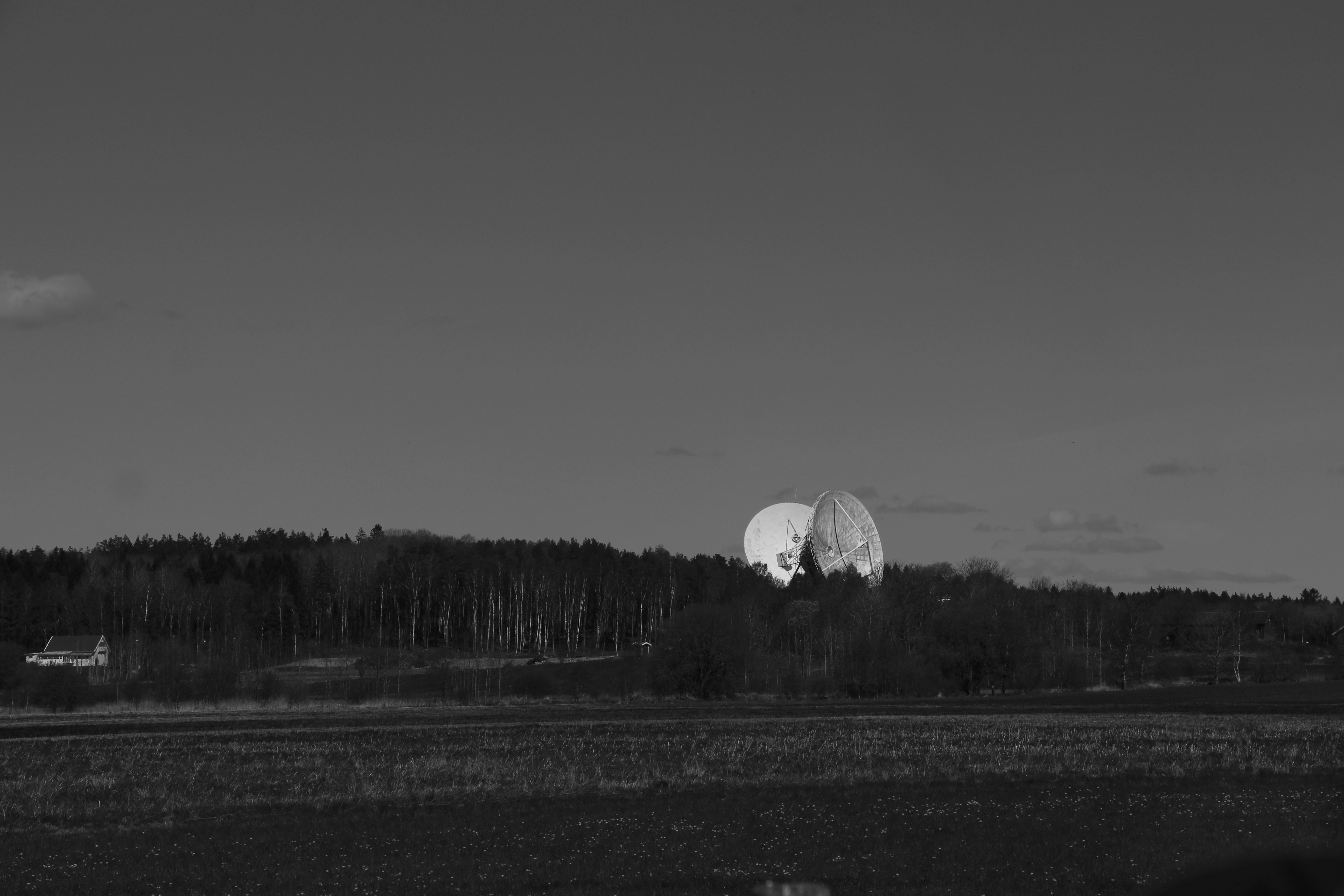 Dos grandes antenas parabólicas detrás de un bosque.