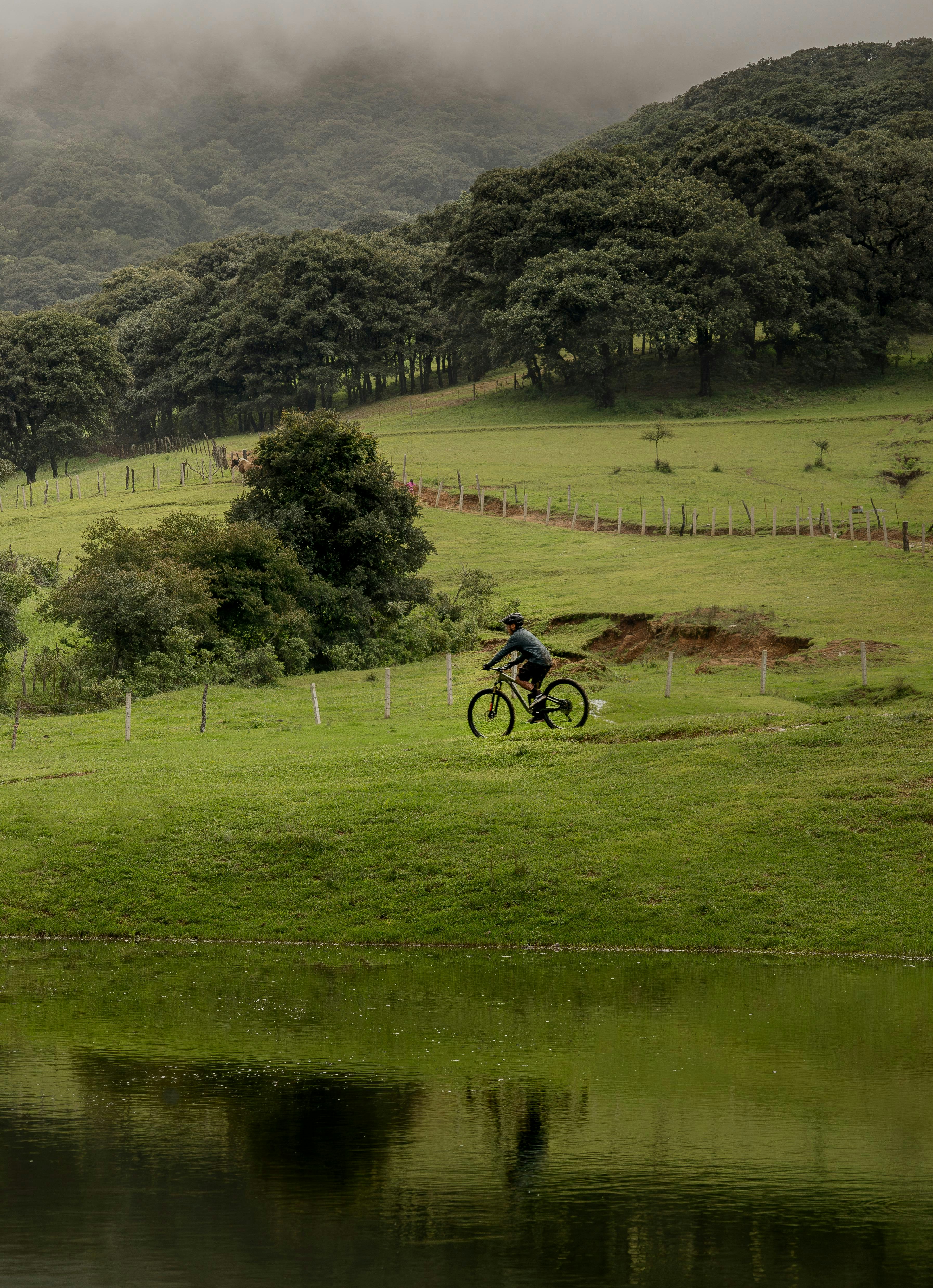 Cyclist riding on a grassy hill near a lake.
