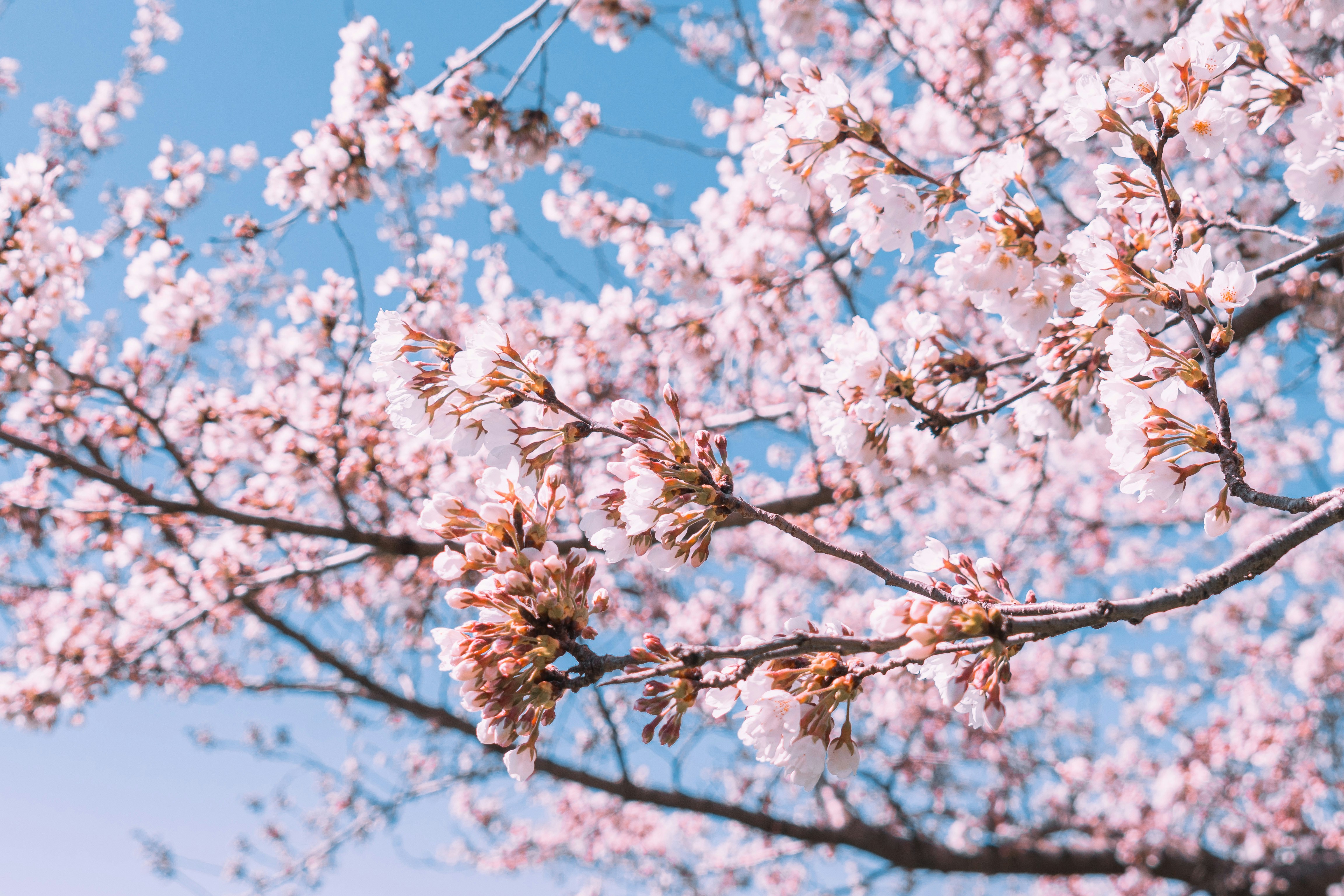 Photo by kosmonaut182