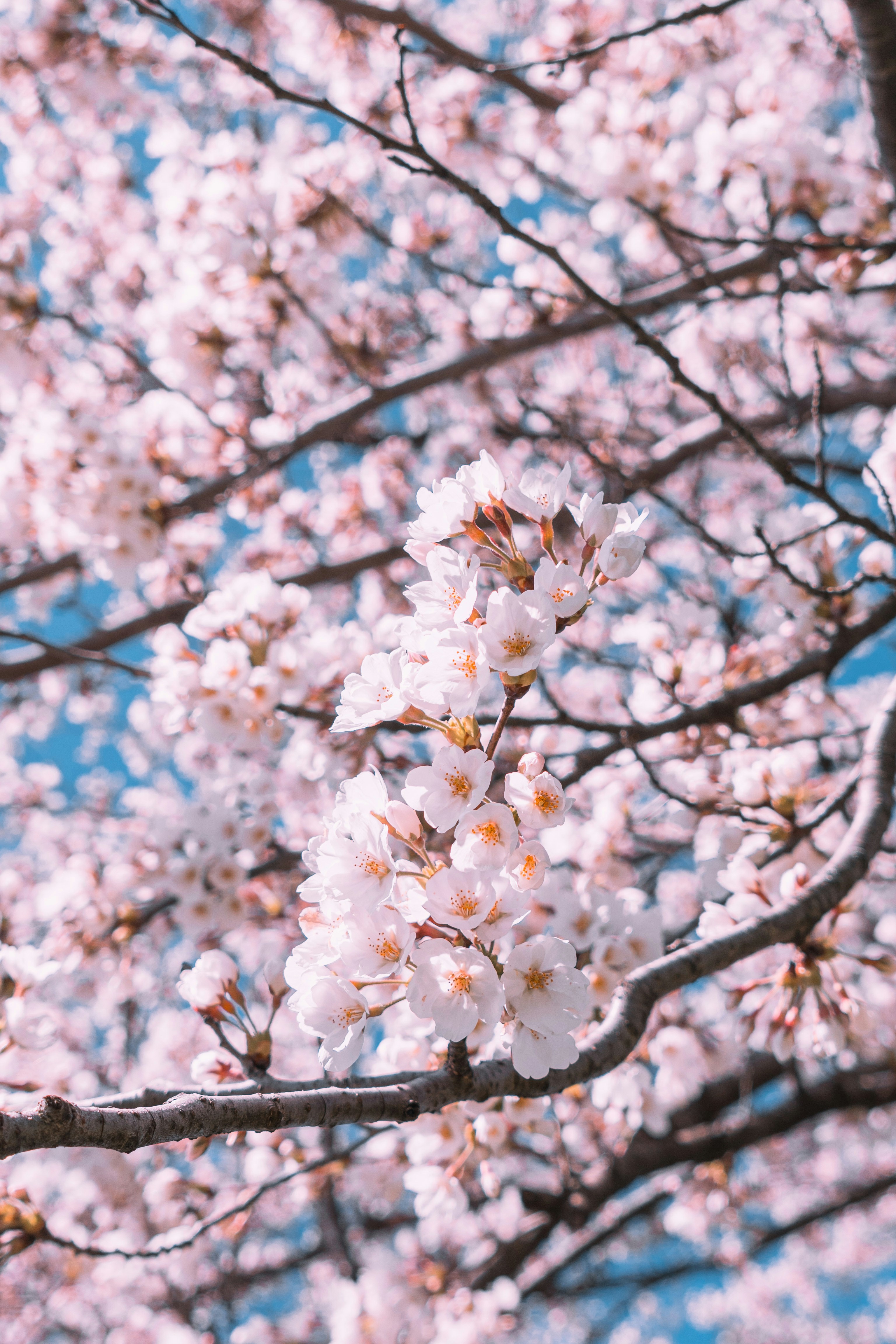 Photo by kosmonaut182