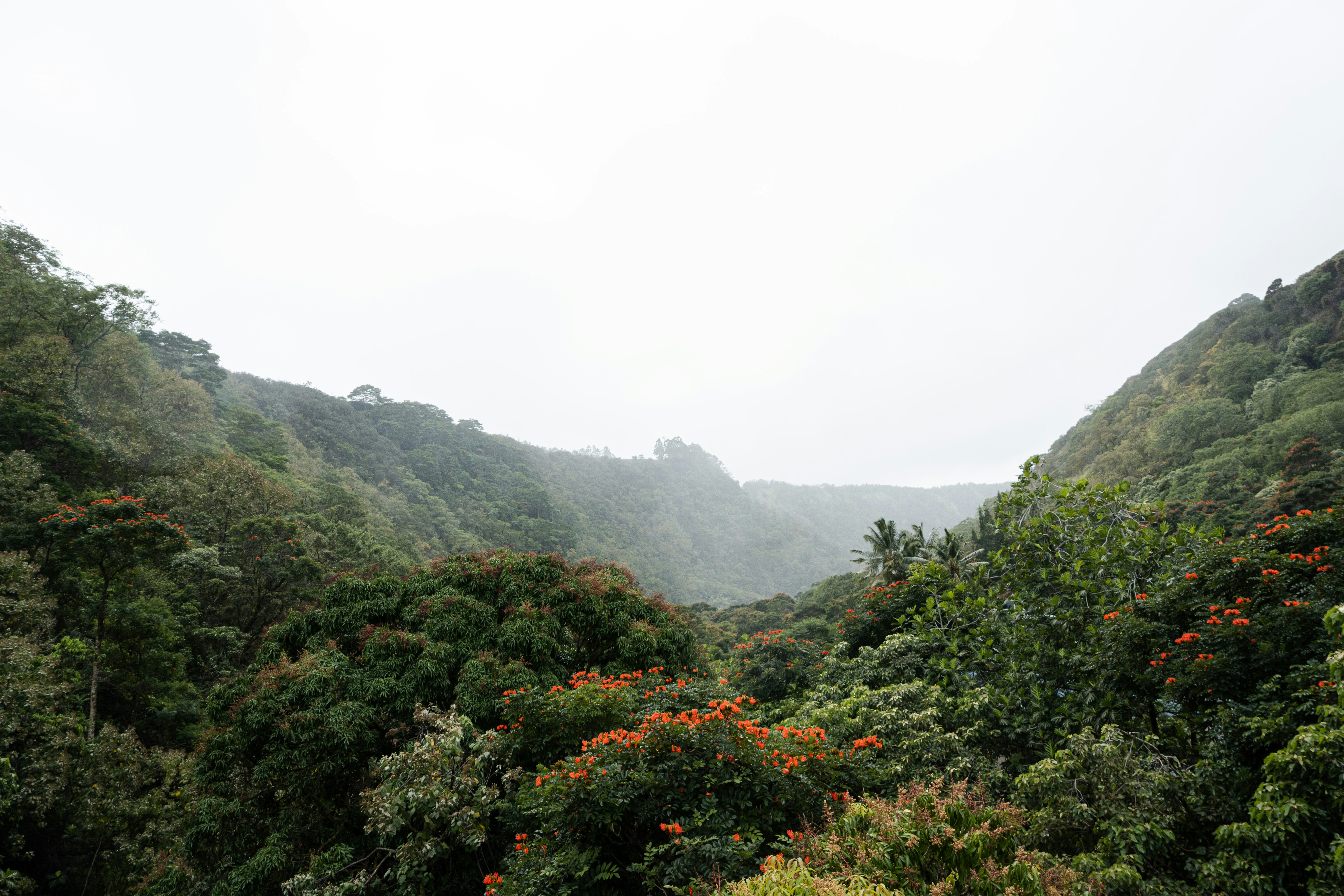 Photo by kosmonaut182