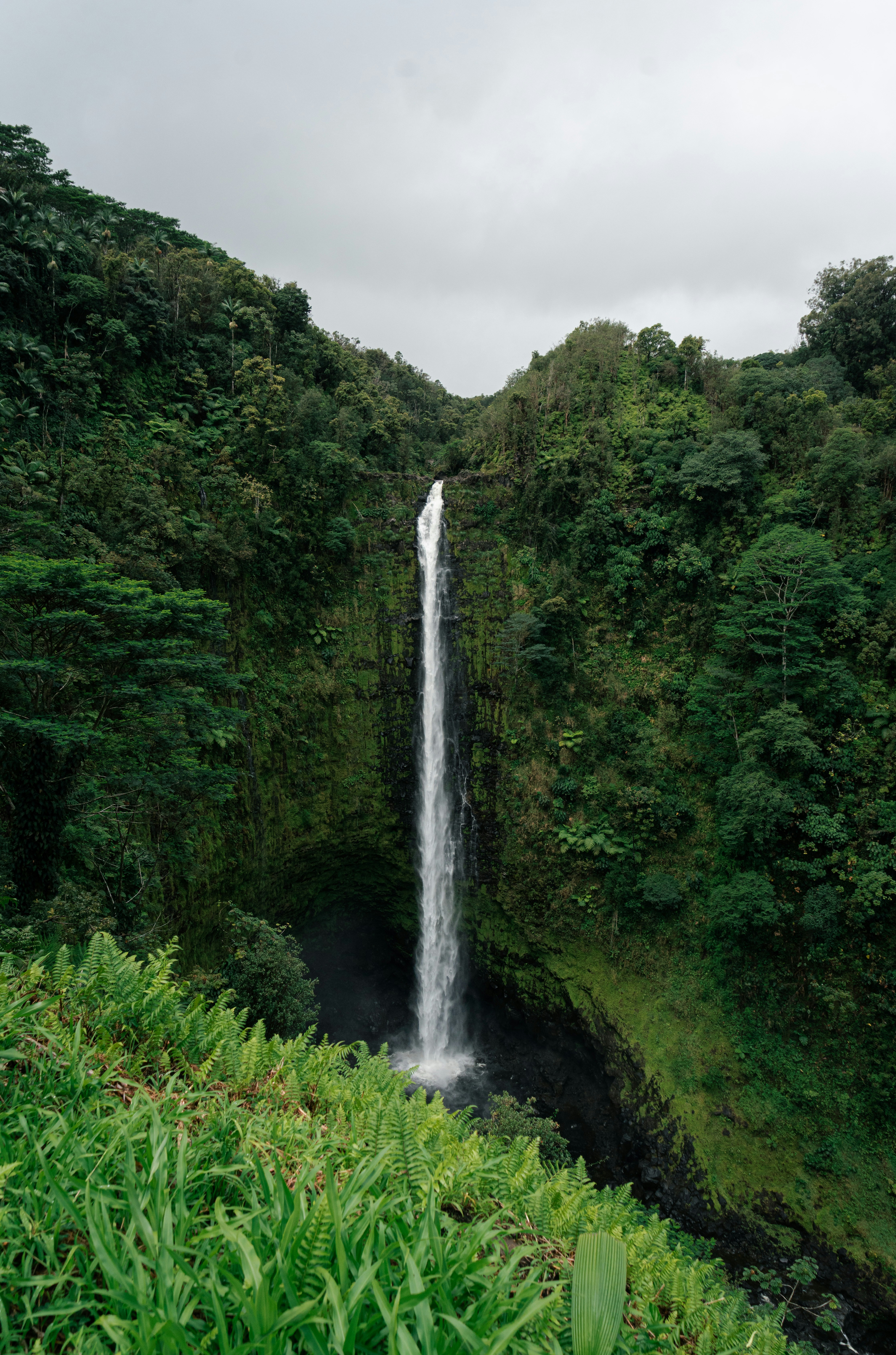 Photo by kosmonaut182