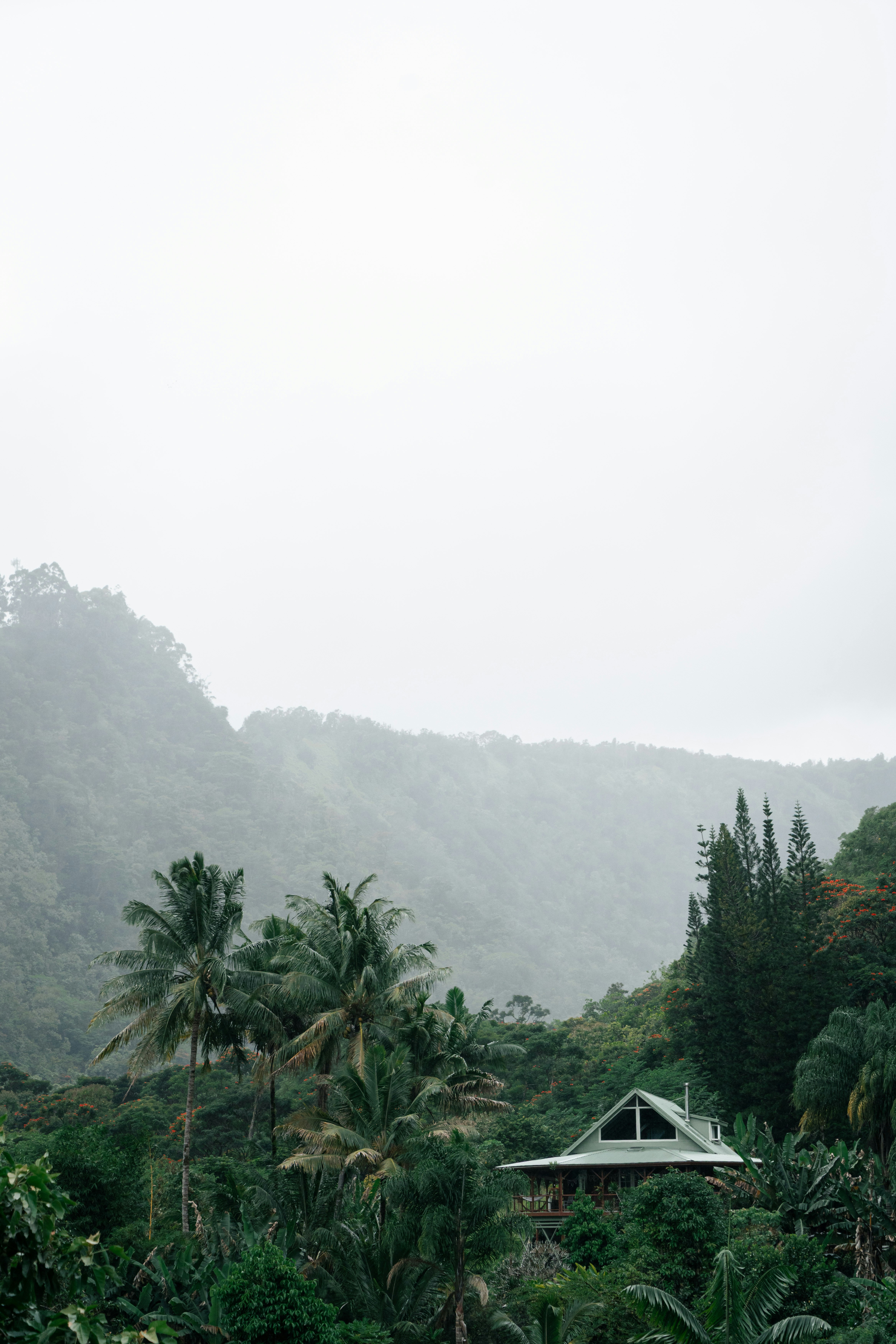 Photo by kosmonaut182