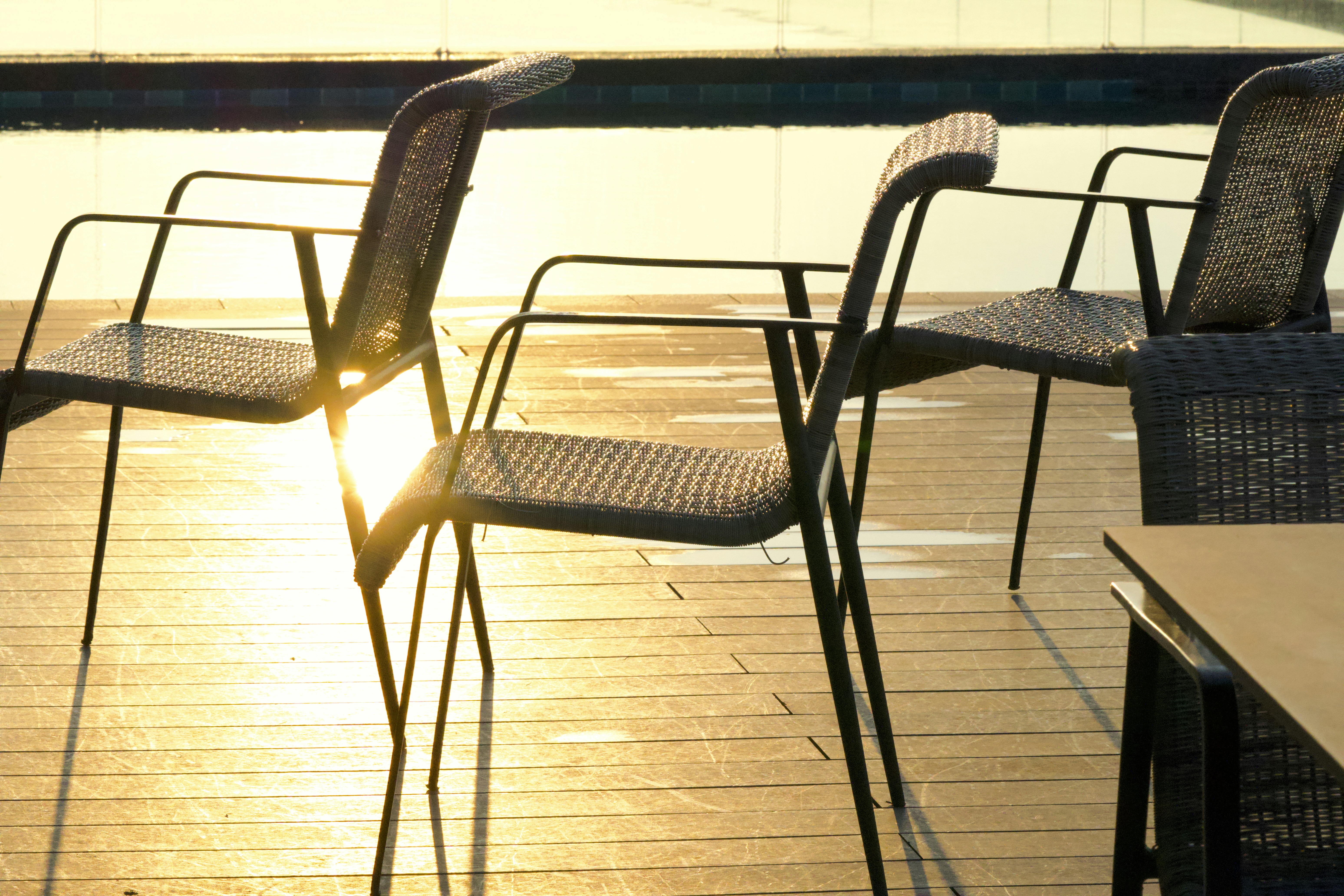 Photo by muscateer777