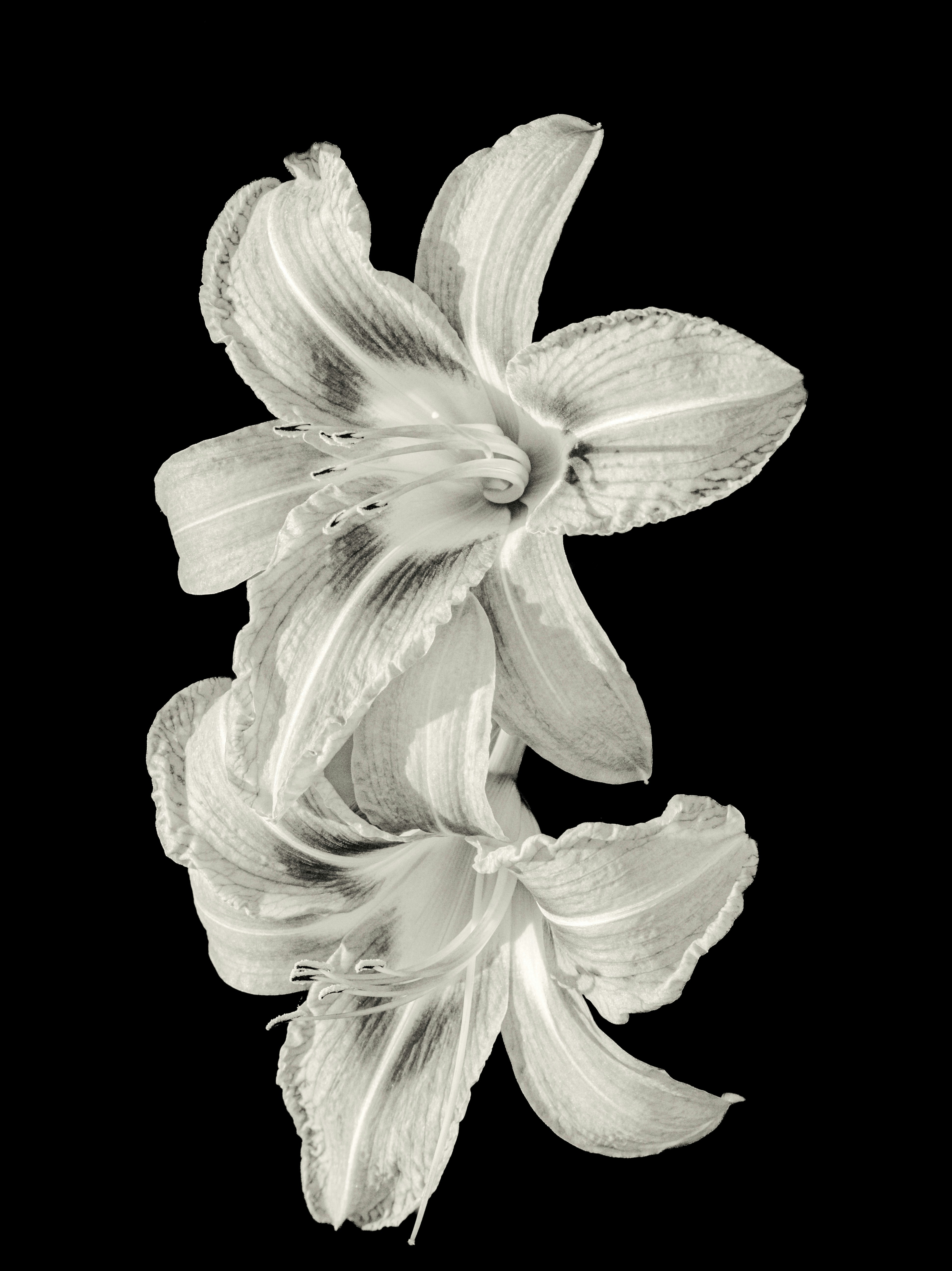 Photo by sschusterphotoart