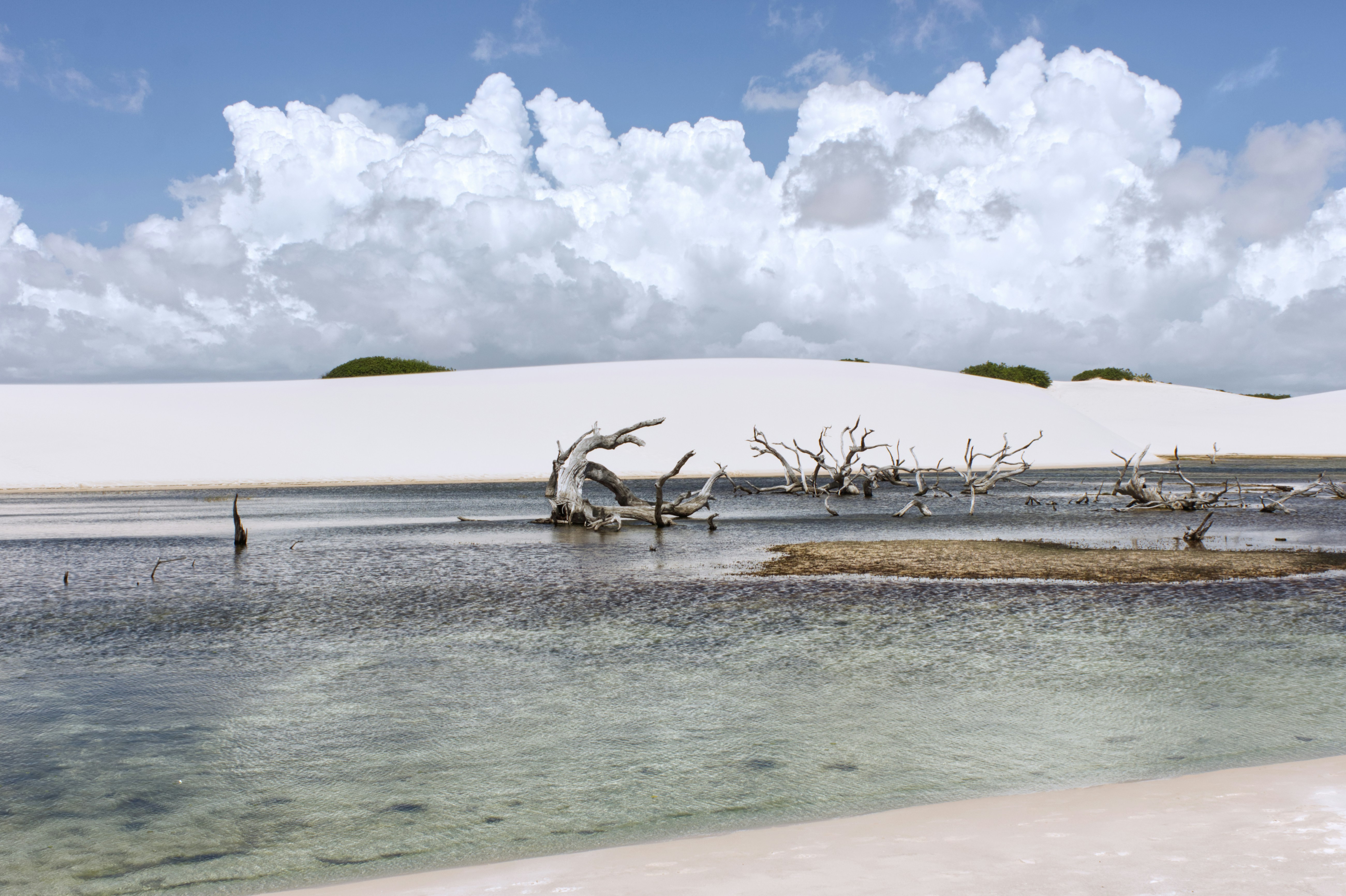 Weiße Sanddünen mit einer klaren Lagune und abgestorbenen Bäumen.