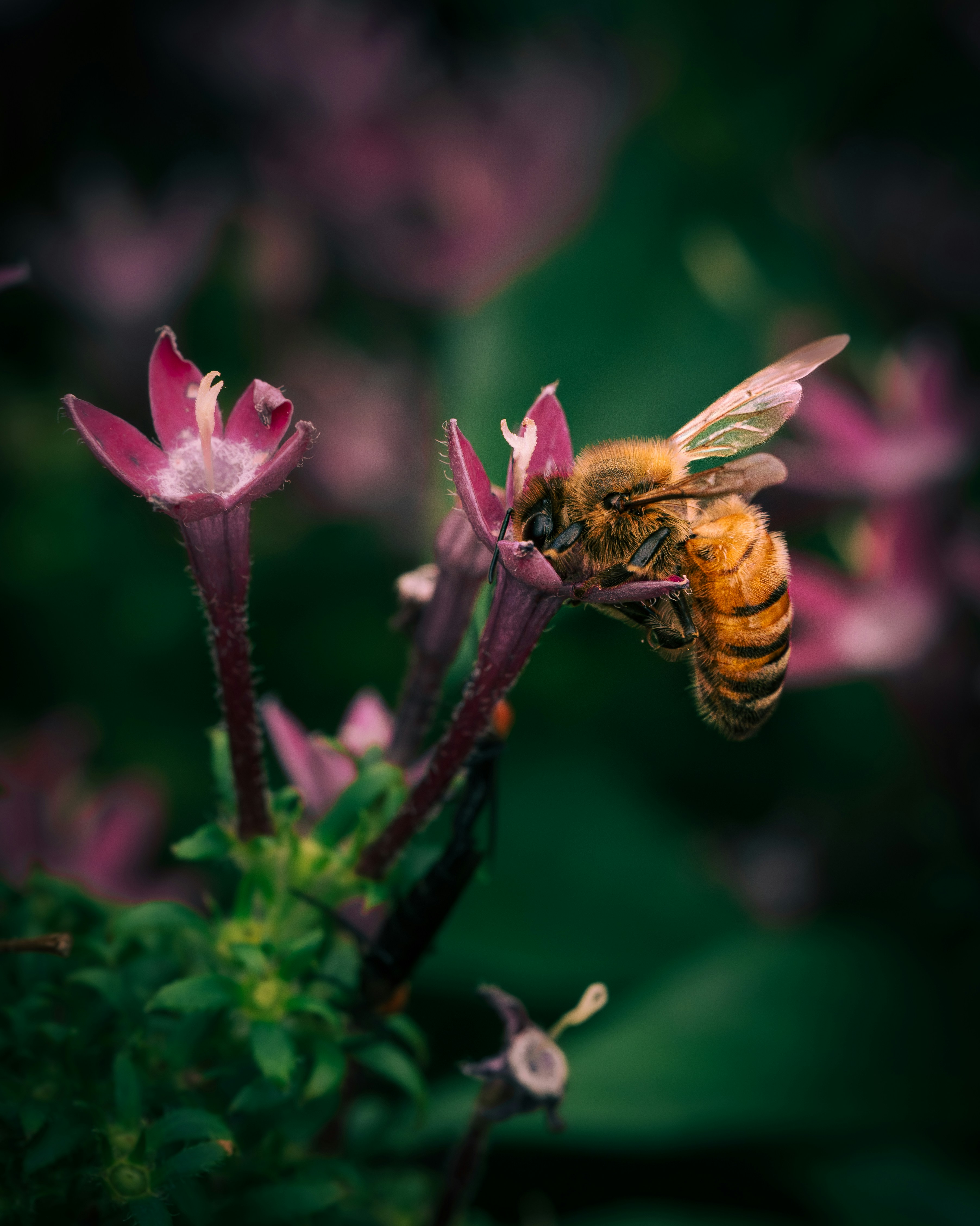 Photo by dkoplyk