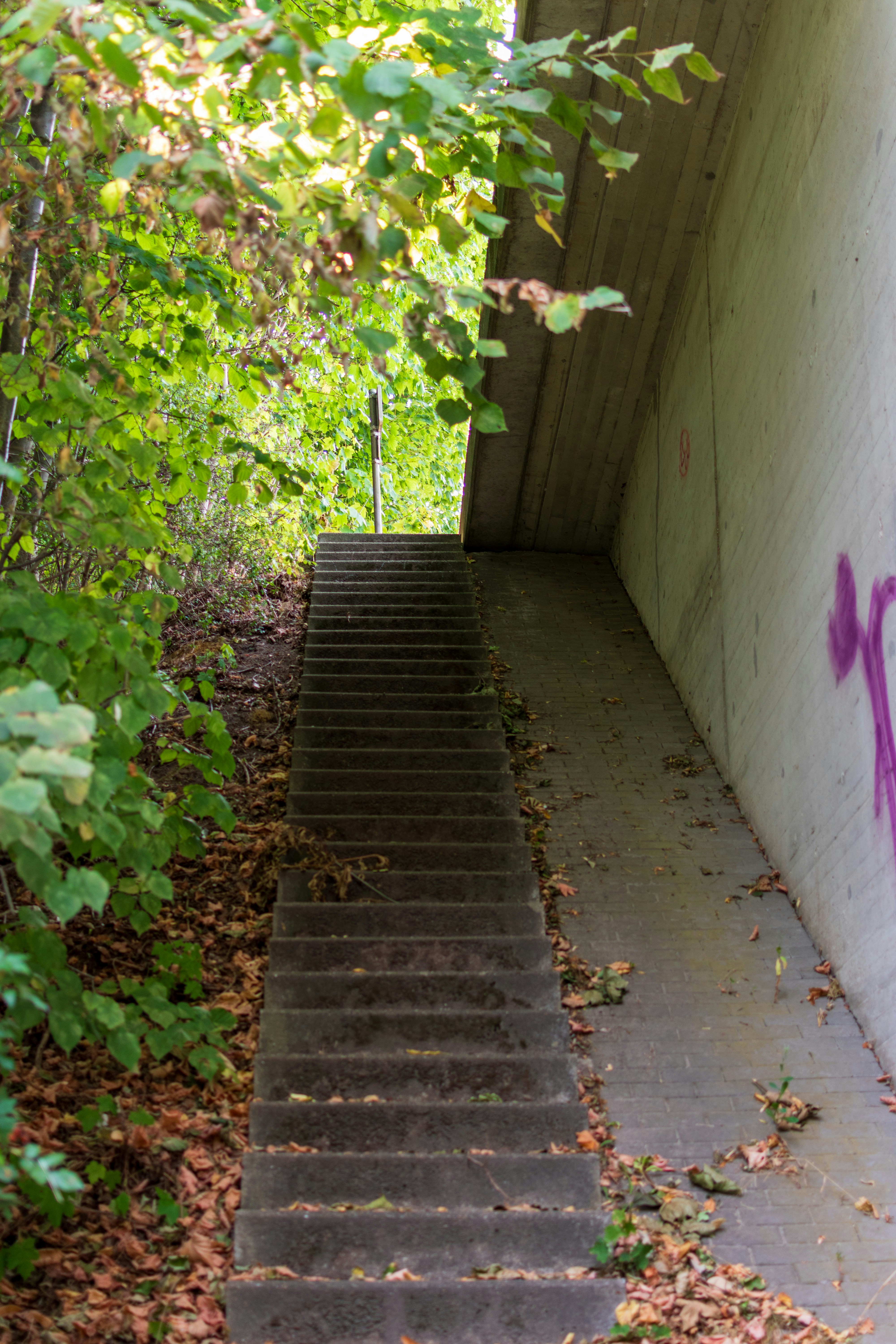 Photo by skstrannik