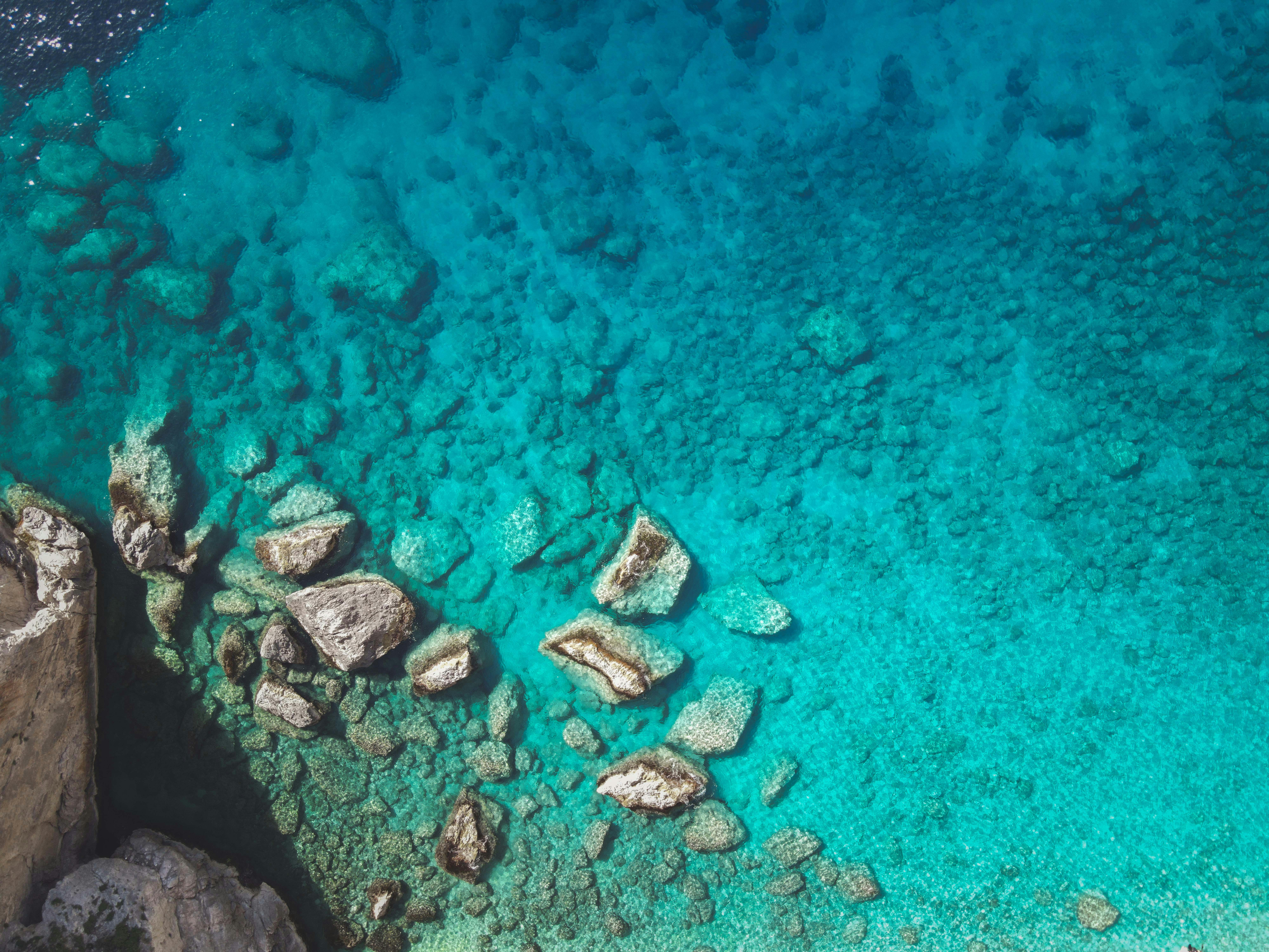 Photo by francesco_ungaro