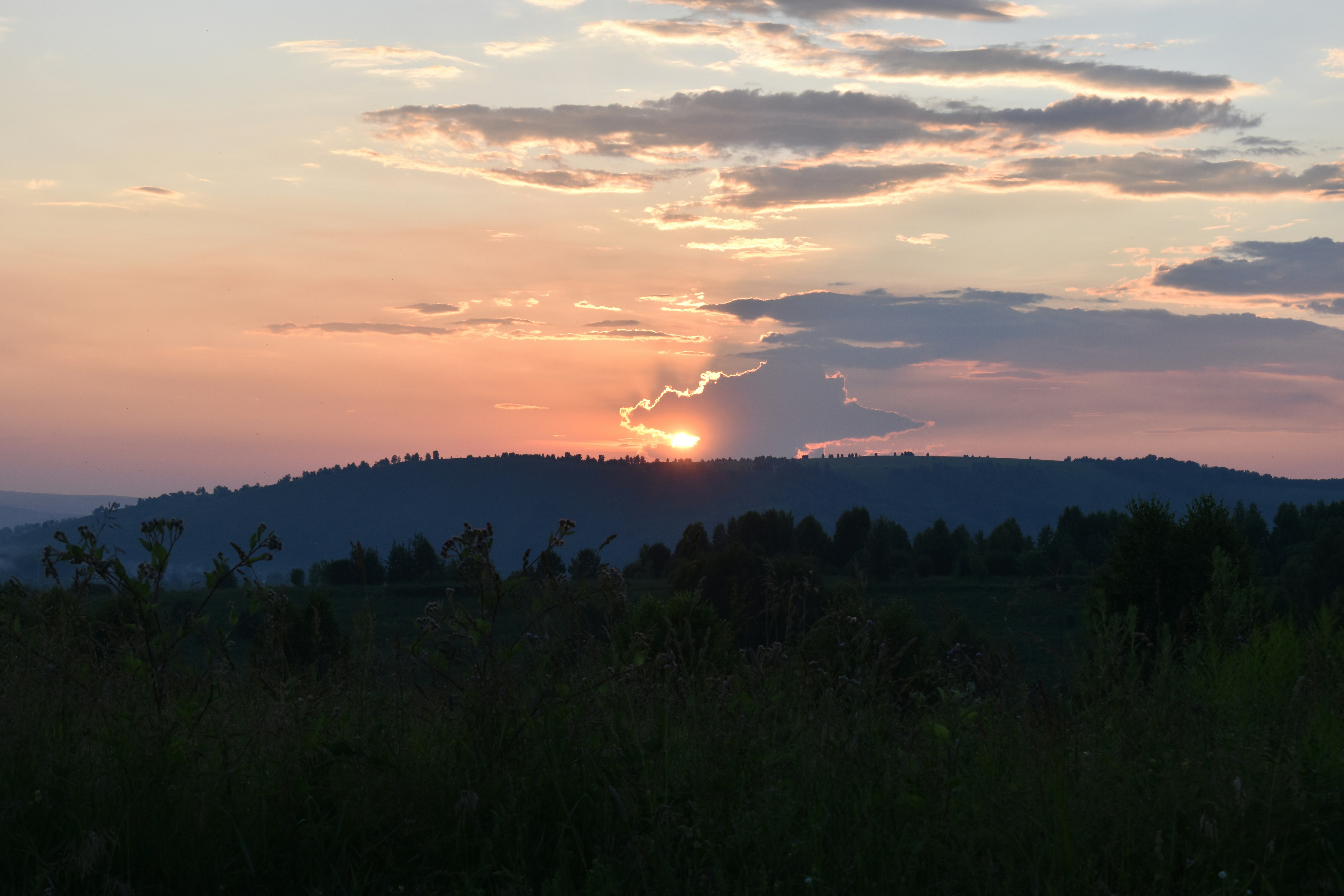 Photo by ulleun