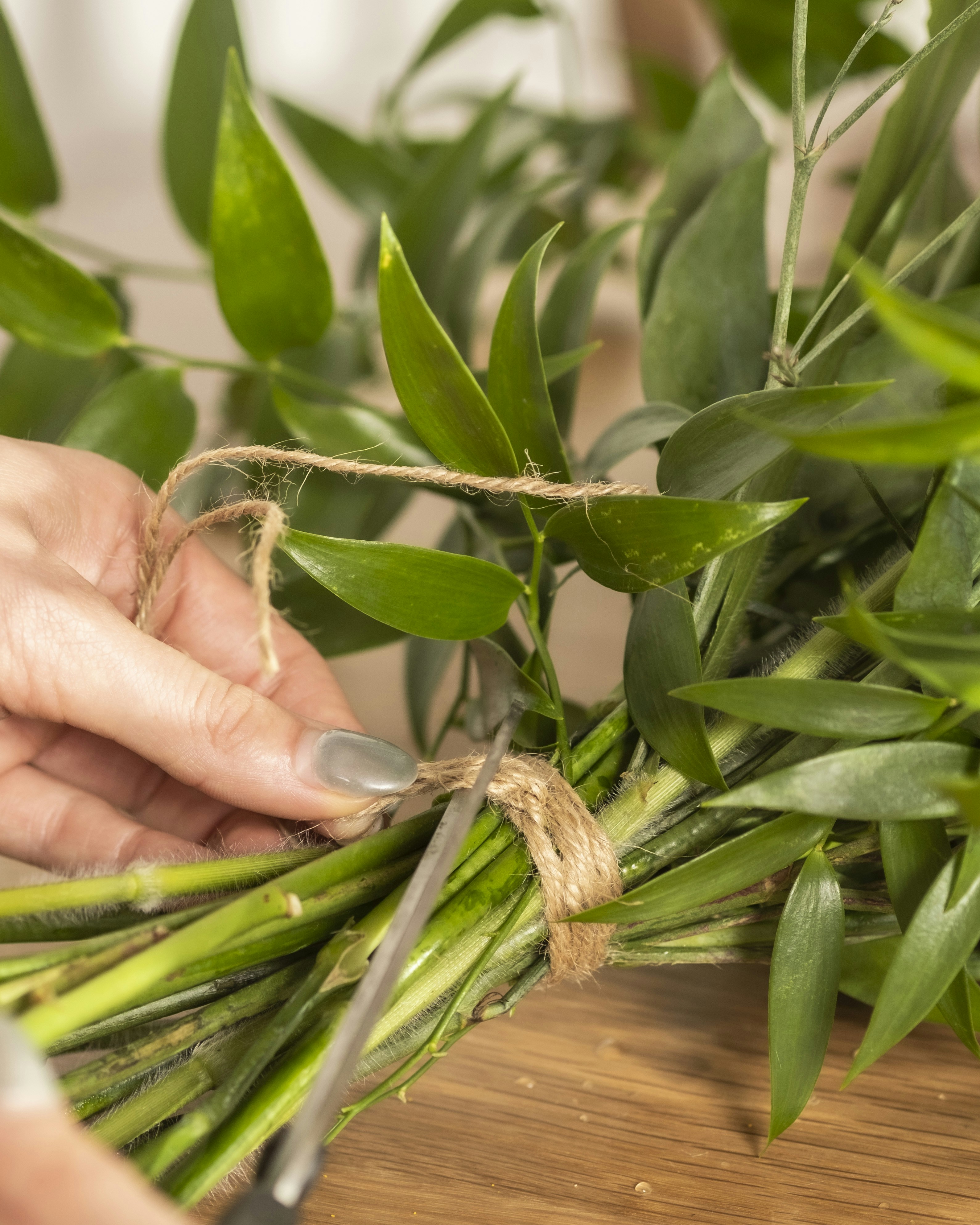 Photo by feeypflanzen