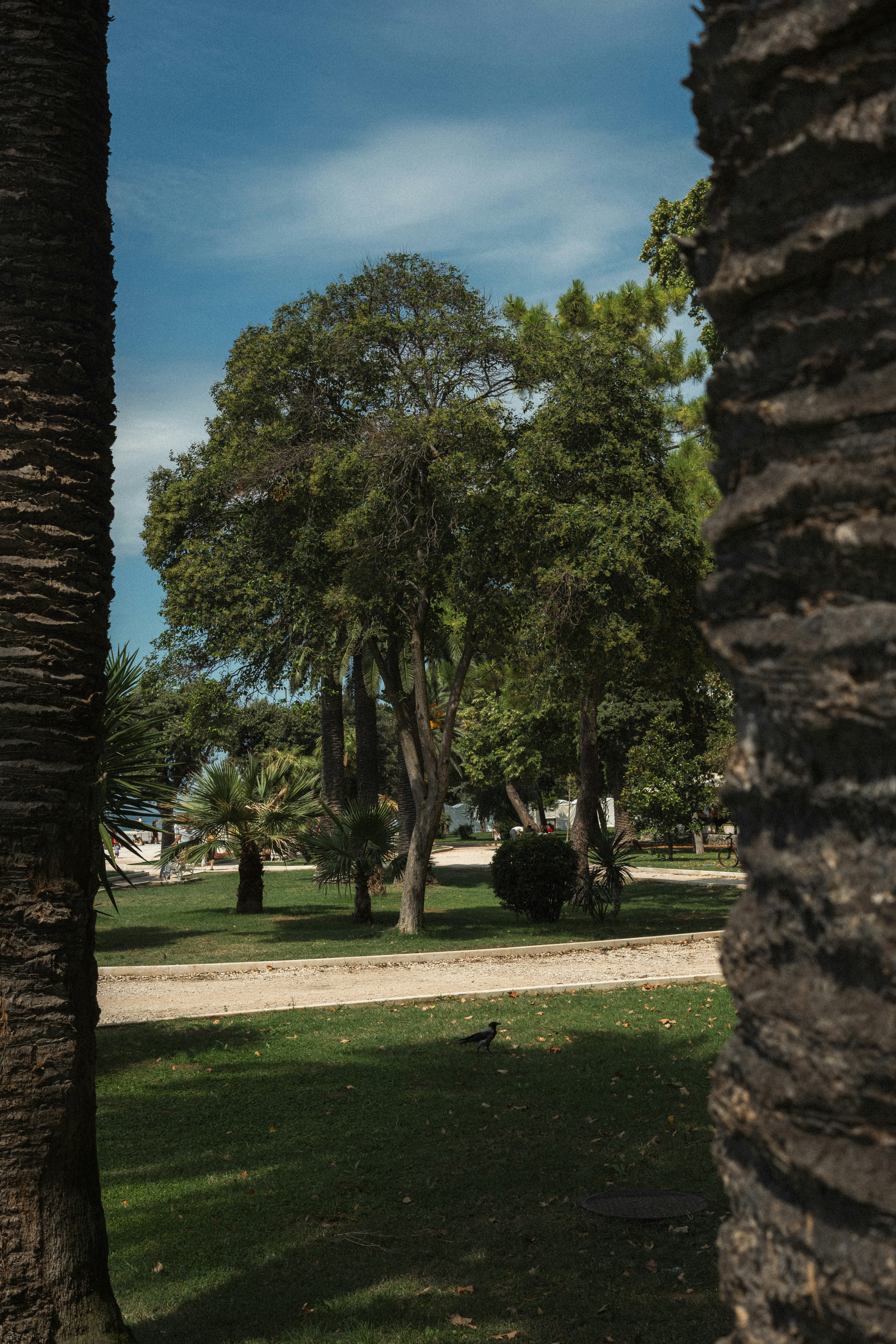 Photo by throughalekslens